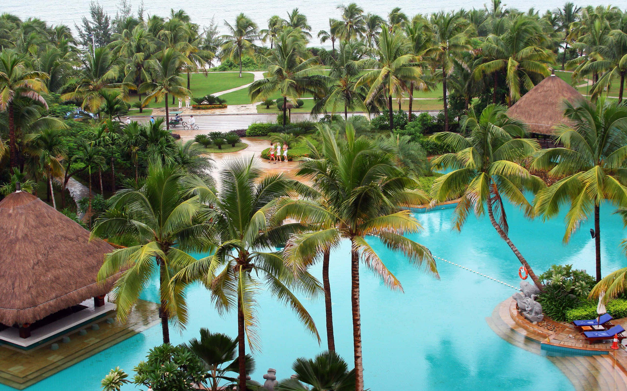 Beach Resort 桌布 壁紙 — 熱帶度假村的鳥瞰圖，綠松石色的泳池蜿蜒穿過茂密的棕櫚樹和茅草屋頂小屋。