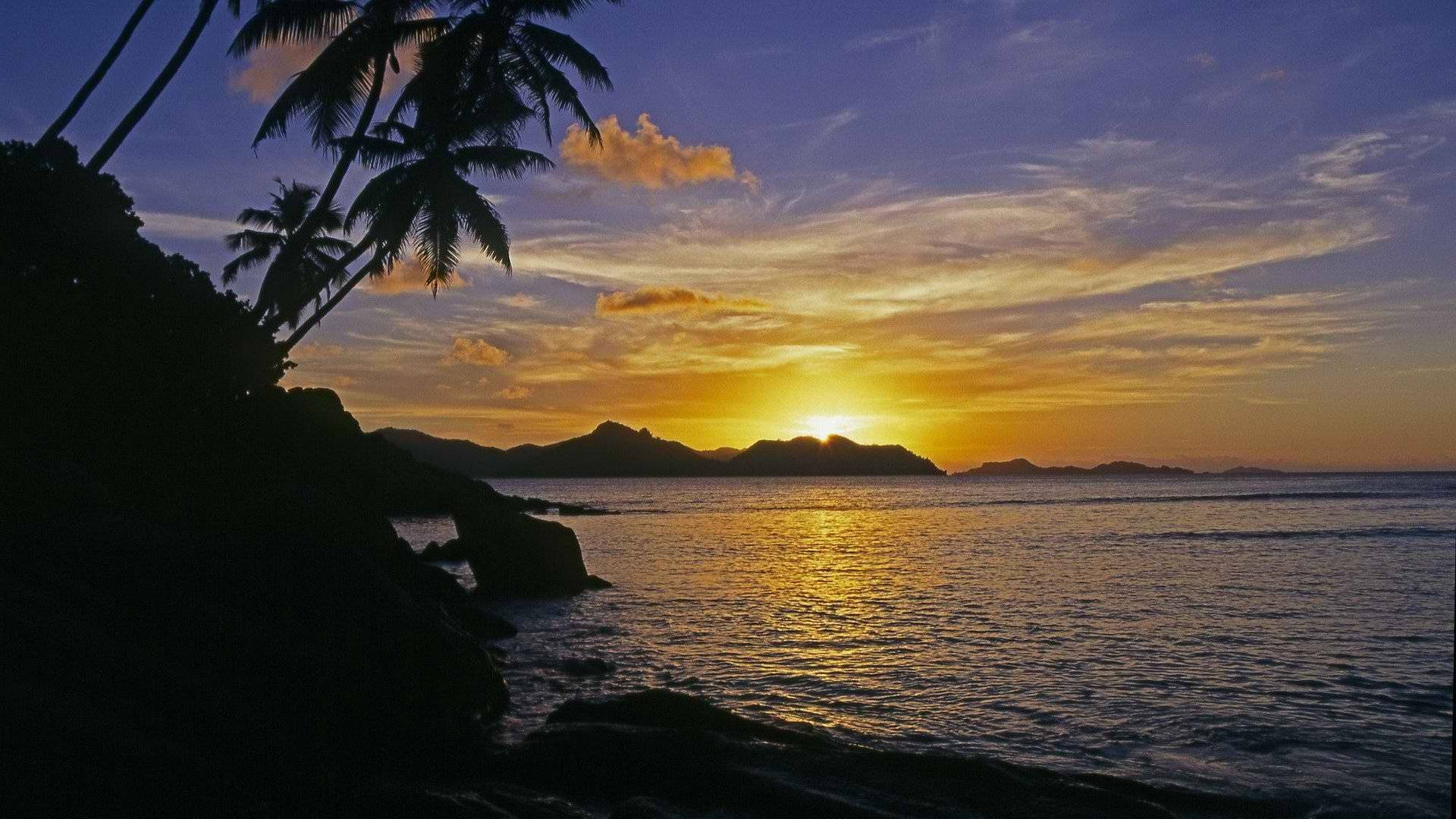 熱帶日落時分 壁紙 — 剪影的棕櫚樹框住了平靜海面上的金色日落，遠方島嶼在充滿活力的天空下。