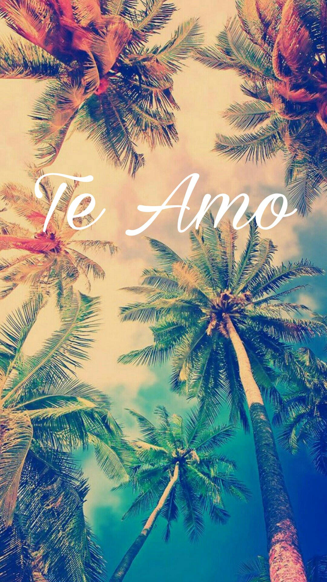 棕櫚樹框住帶有「Te Amo」文字的天空，營造浪漫的熱帶場景。