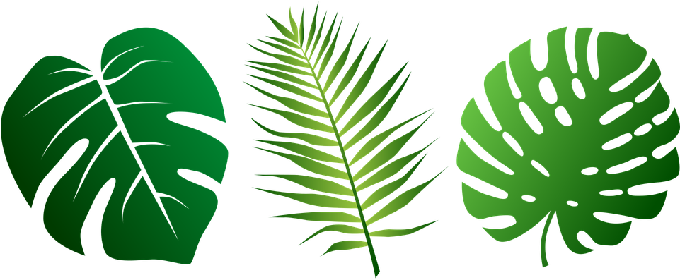 熱帶棕櫚葉向量插圖 壁紙 — 三片風格化的熱帶葉子，呈現不同深淺的綠色，在純黑色背景上脫穎而出。