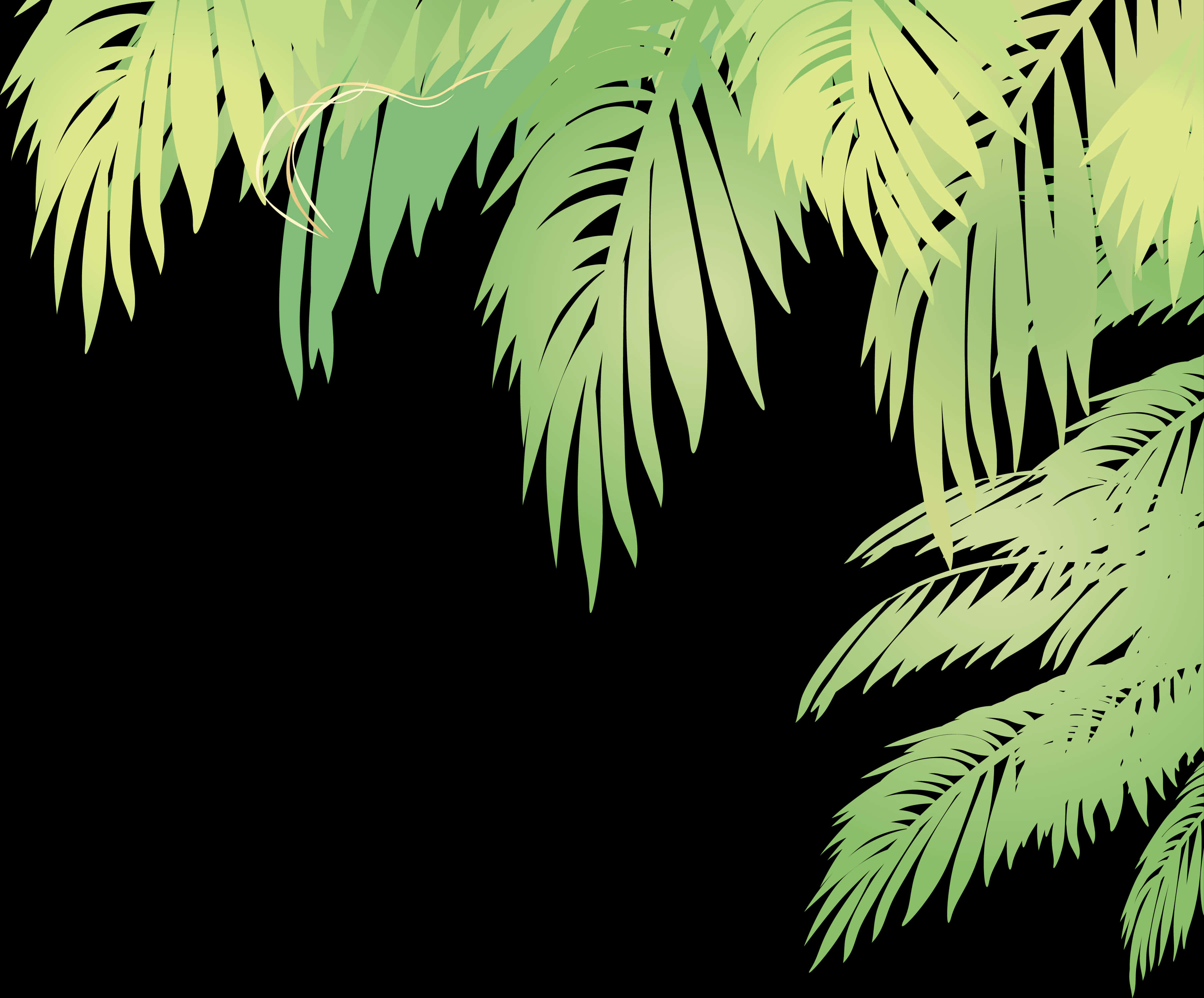 熱帶棕櫚葉向量背景 壁紙