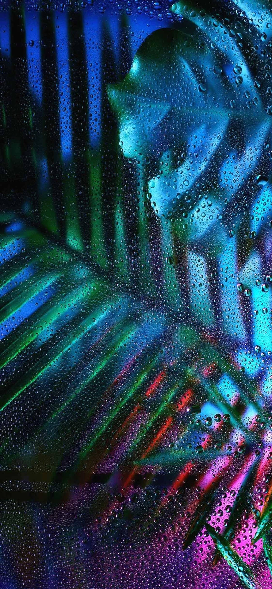 霓虹燈光透過玻璃上的雨滴反射，帶有模糊的棕櫚葉。 — 主螢幕 壁紙