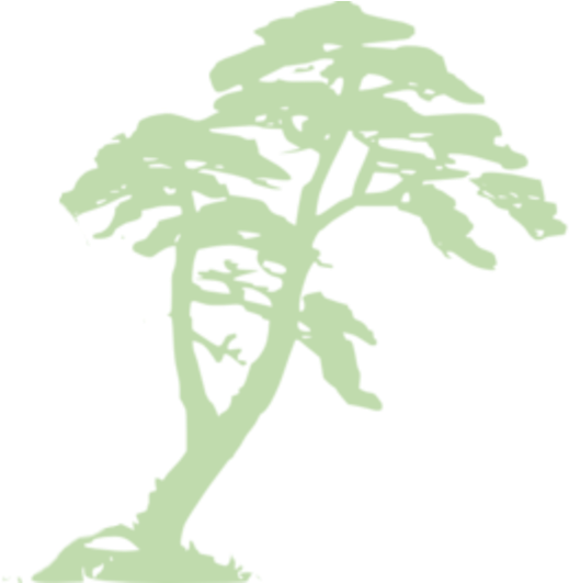熱帶樹剪影 壁紙 — 一個極簡風格的淺綠色樹木剪影，帶有風格化的樹枝和樹葉，襯托在純黑色背景上。