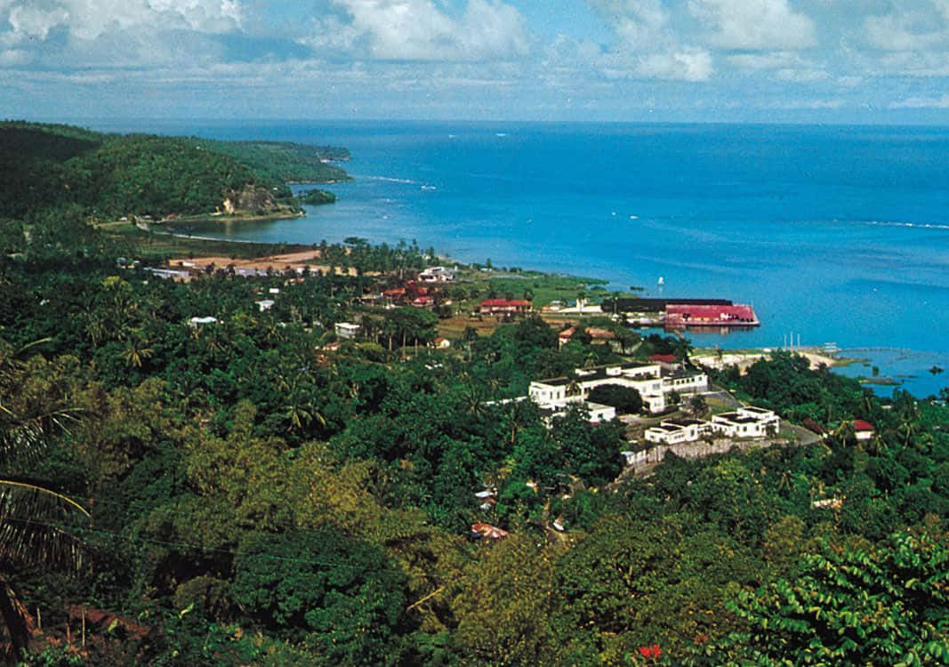 Caribbean Island 桌布 壁紙 — 熱帶沿海小鎮的鳥瞰圖，坐落在鬱鬱蔥蔥的綠色山丘之間，有碧綠色的海洋和散落的建築物。