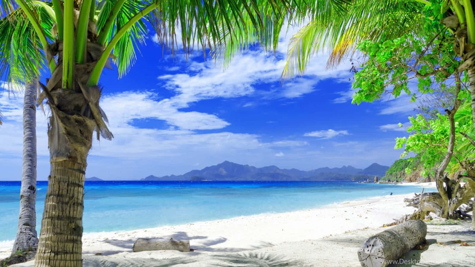 Beautiful Beach 桌布 壁紙 — 熱帶海灘，四周環繞著茂密的棕櫚葉，碧綠的海水和遠處的山脈，在明亮的藍天下。