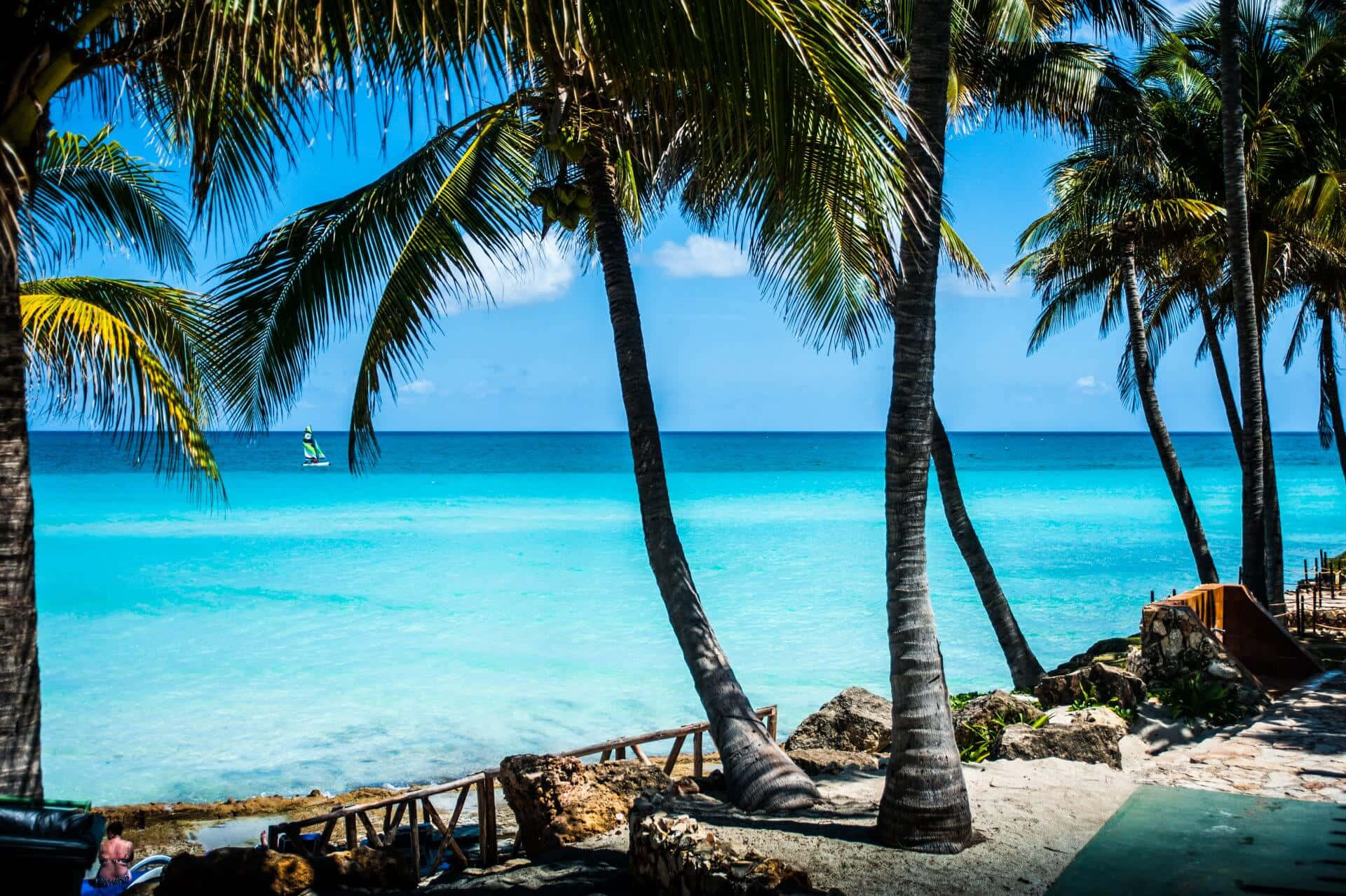 Cuba 桌布 壁紙 — 熱帶海灘，搖曳的棕櫚樹環繞，碧綠的海水，一名孤獨的風帆衝浪者在清澈的藍天下。
