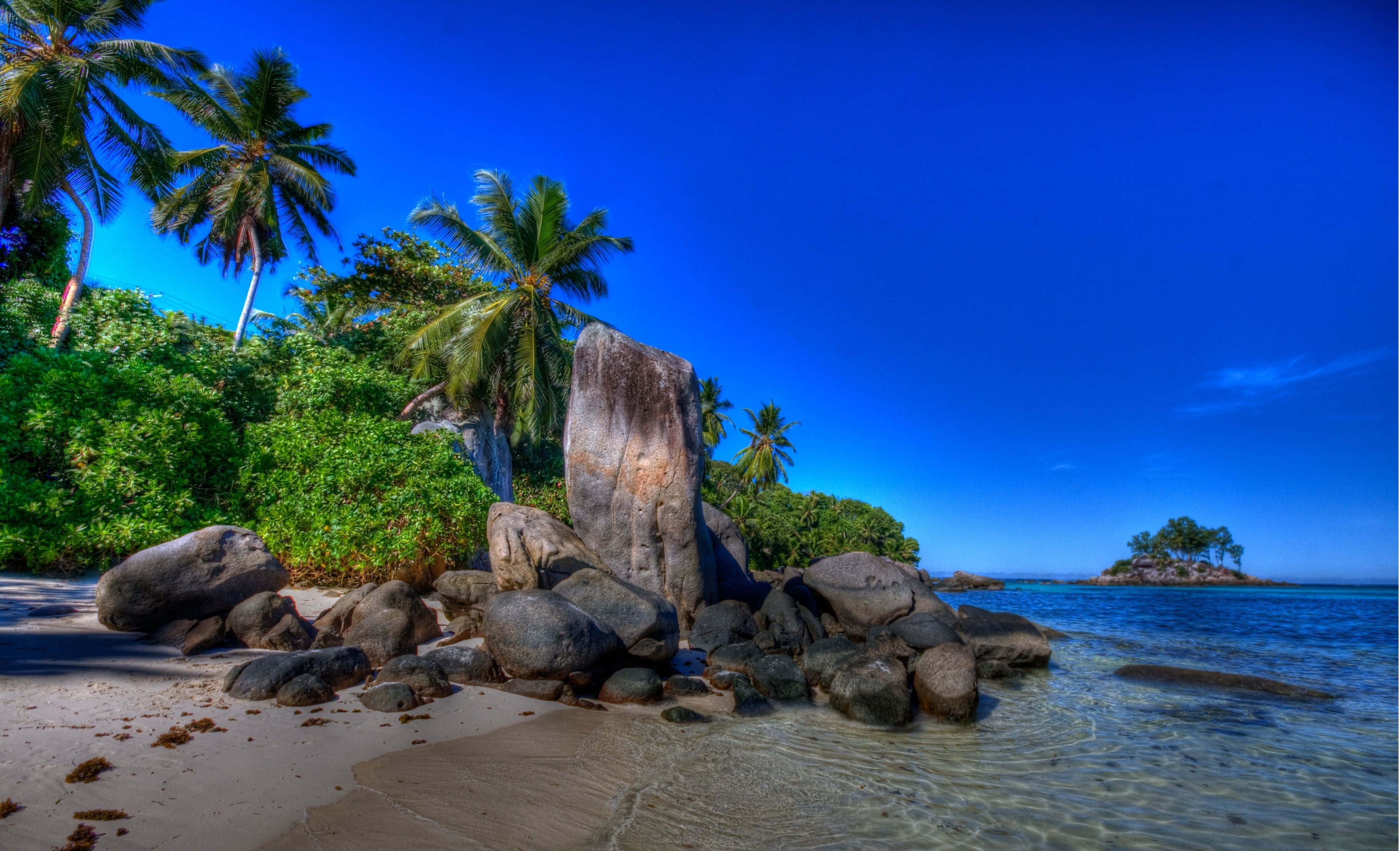 Seychelles Beach 桌布 壁紙 — 熱帶海灘，棕櫚樹和巨石，湛藍天空下清澈碧綠的海水。