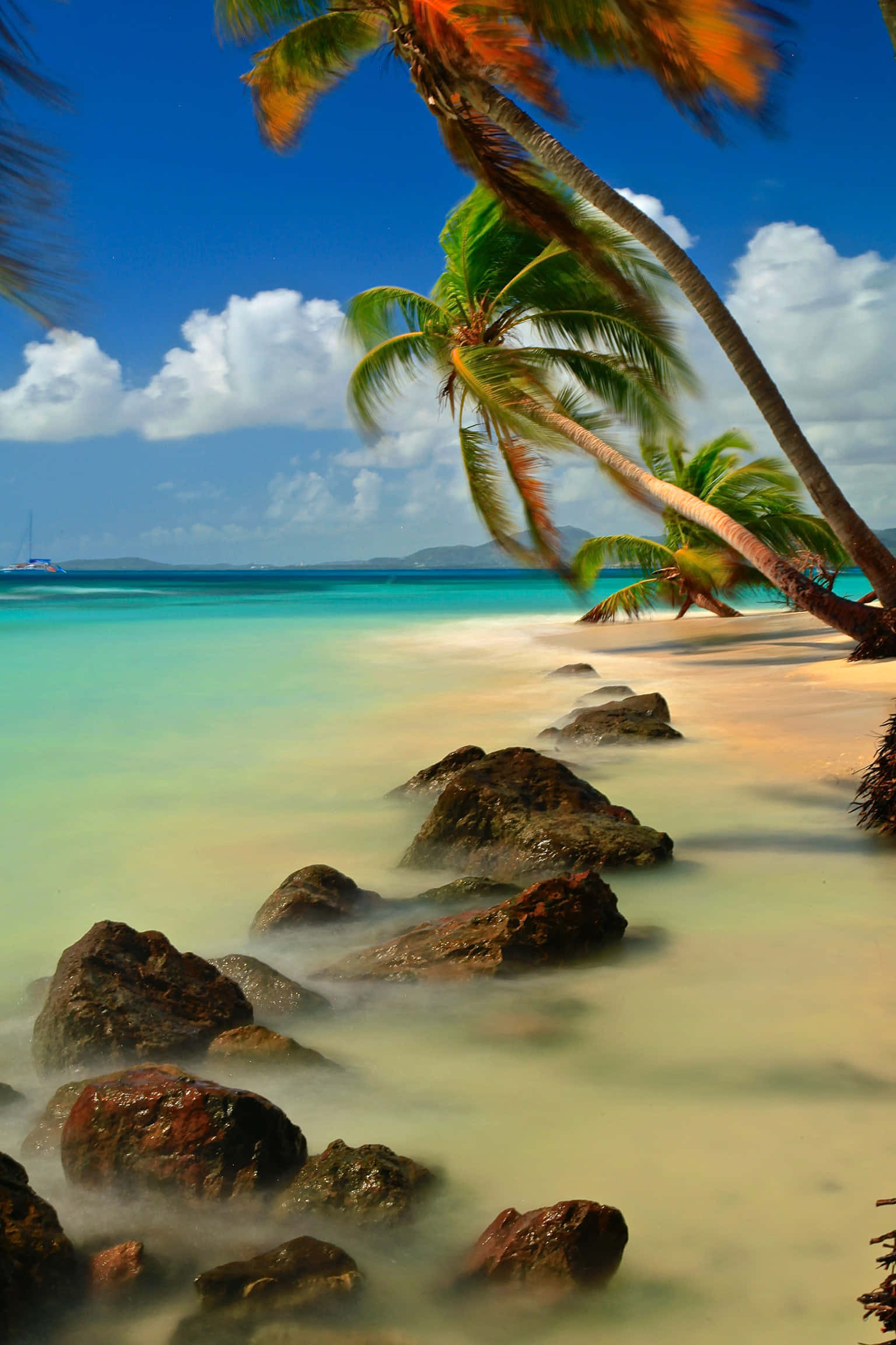 Beach Palm Trees 桌布 壁紙 — 熱帶海灘，棕櫚樹在碧綠海水上搖曳，前景有光滑岩石，天空明亮湛藍。