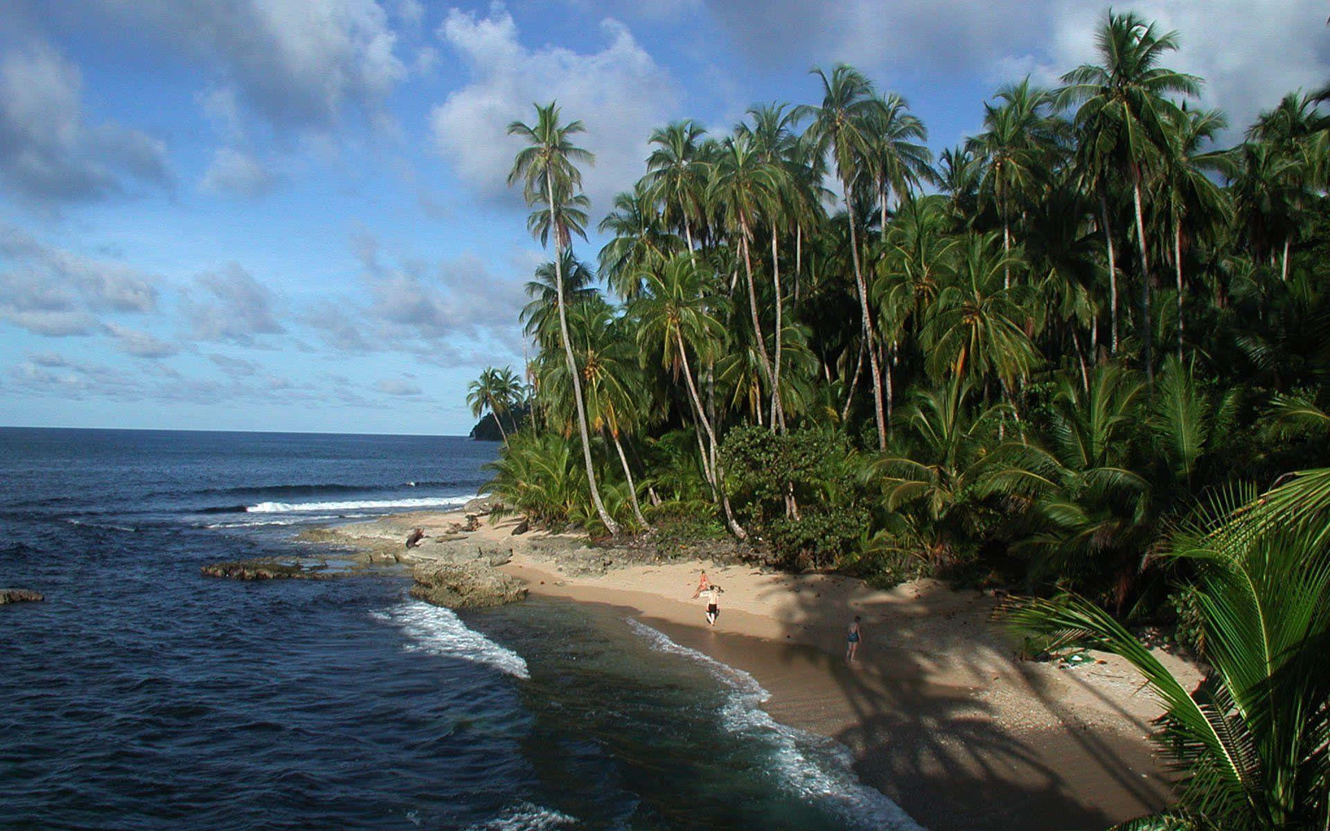 Costa Rica 桌布 壁紙 — 熱帶海灘，棕櫚樹在部分多雲的天空下在碧綠海水附近搖曳。