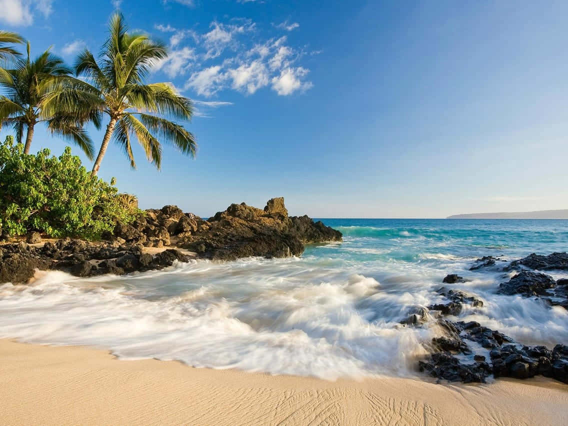 Hawaiian Island 桌布 壁紙 — 熱帶海灘，棕櫚樹在黑色熔岩岩石上搖曳，碧綠色的海浪拍打著金色沙灘，天空湛藍明亮。