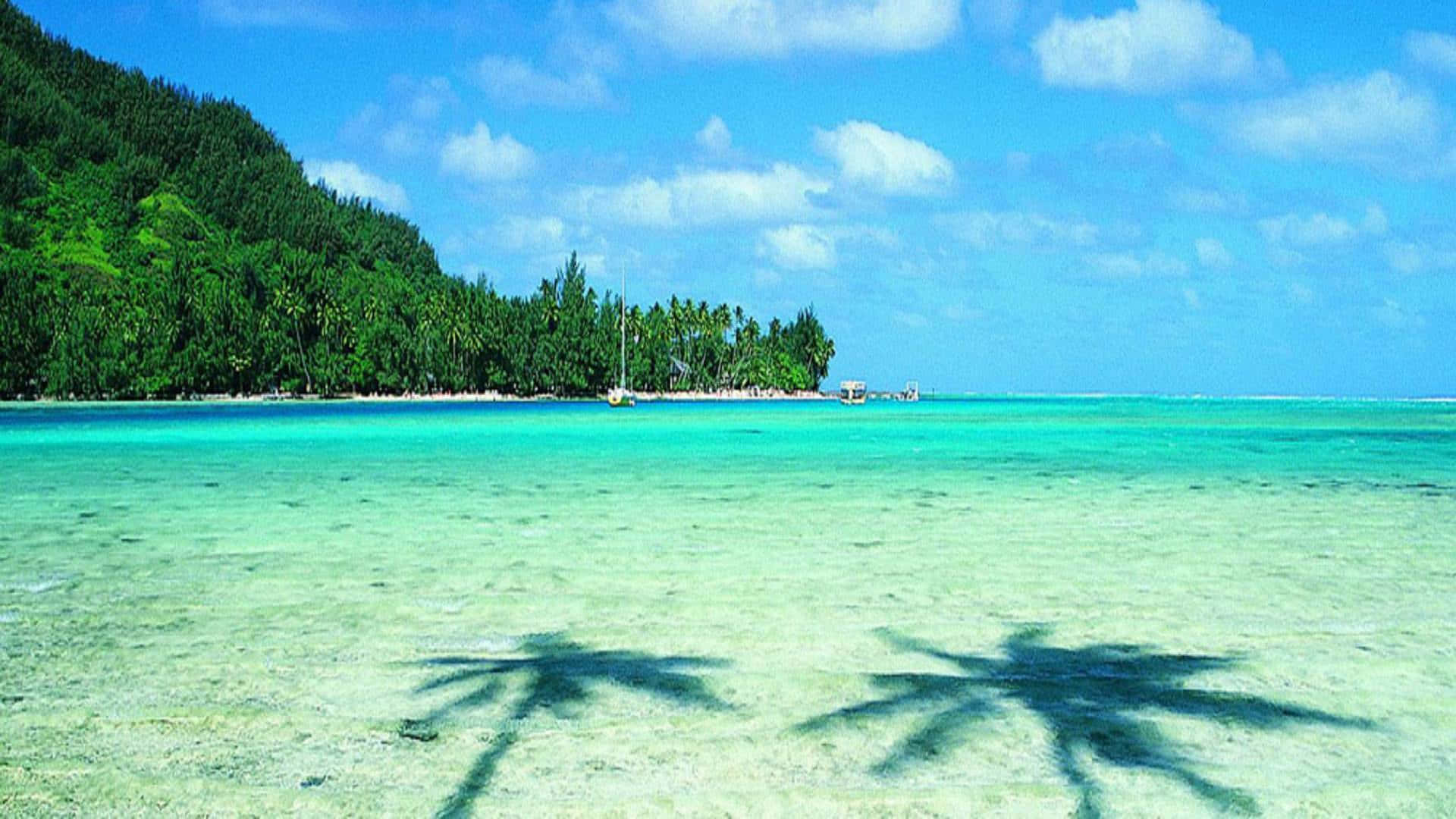 Thailand Beach 桌布 壁紙 — 熱帶海灘，碧綠海水，棕櫚樹影落在淺沙上，天空湛藍明亮。