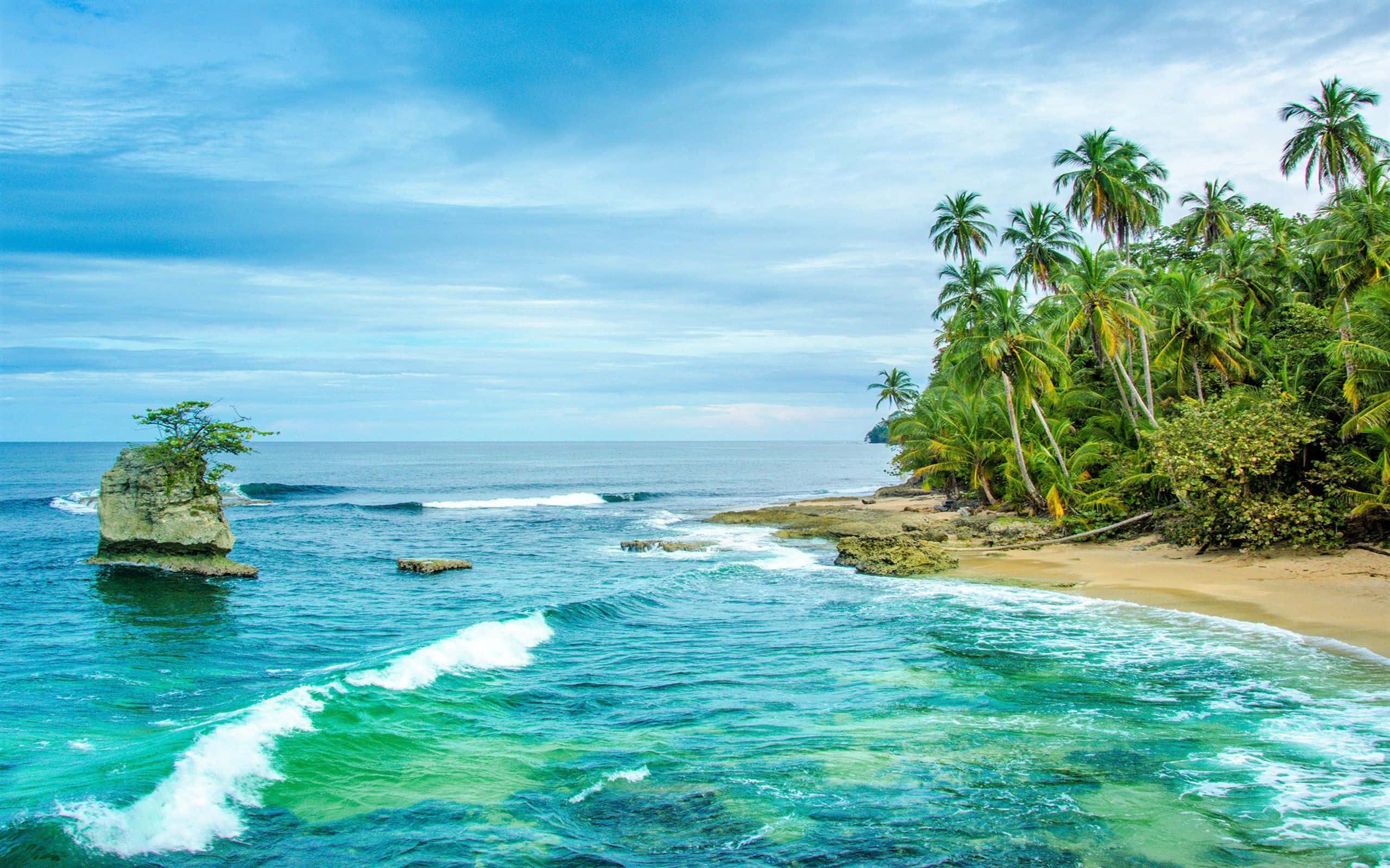 Costa Rica 桌布 壁紙 — 熱帶海灘，碧綠色的海浪拍打著沙灘，沙灘兩旁種滿茂密的棕櫚樹，頭頂是明亮的藍天。