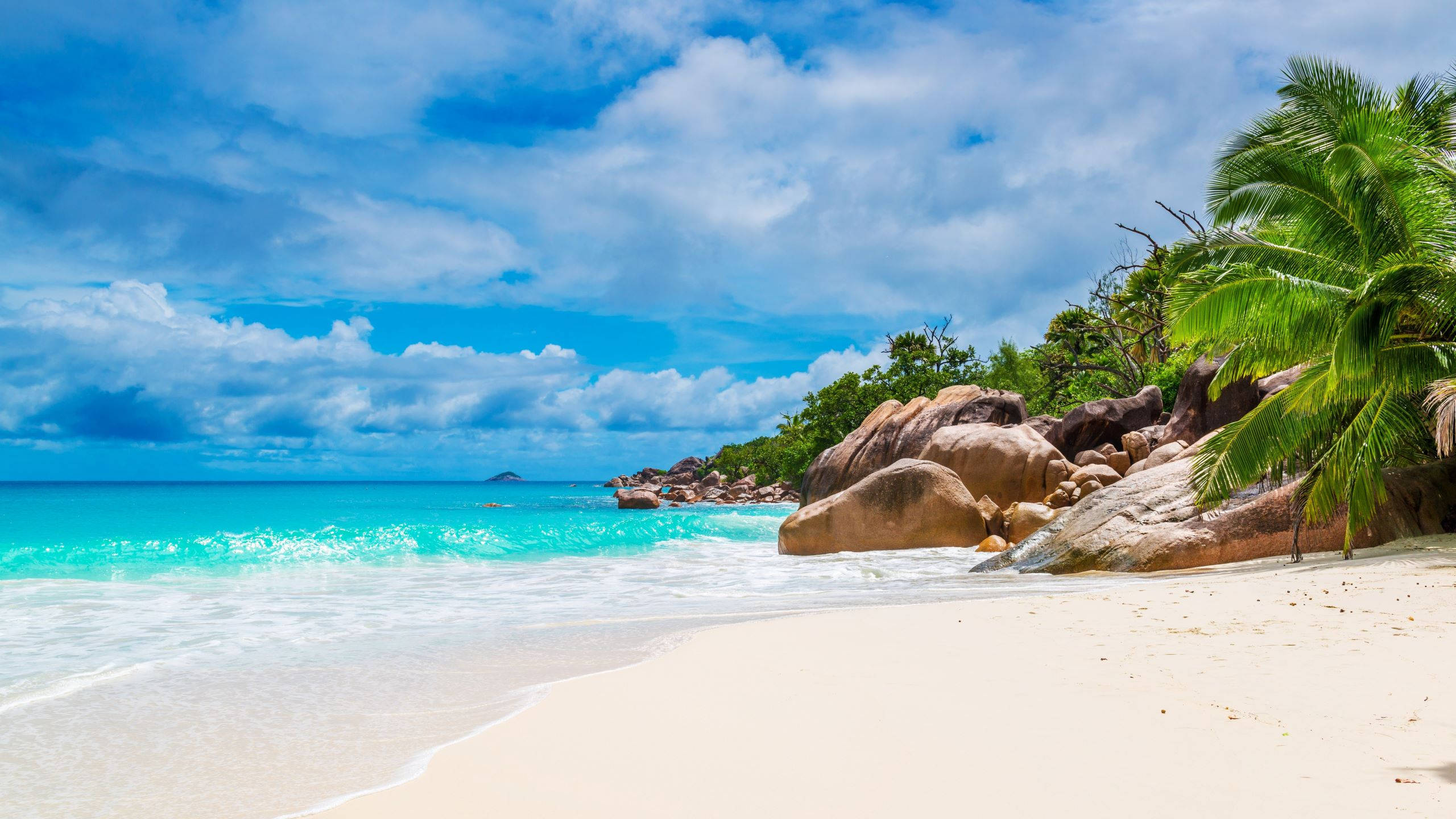 White Beach In Seychelles 壁紙 — 熱帶海灘，碧藍色的海浪拍打著白色沙灘，旁邊有巨大的岩石和茂密的棕櫚樹，天空湛藍明亮。