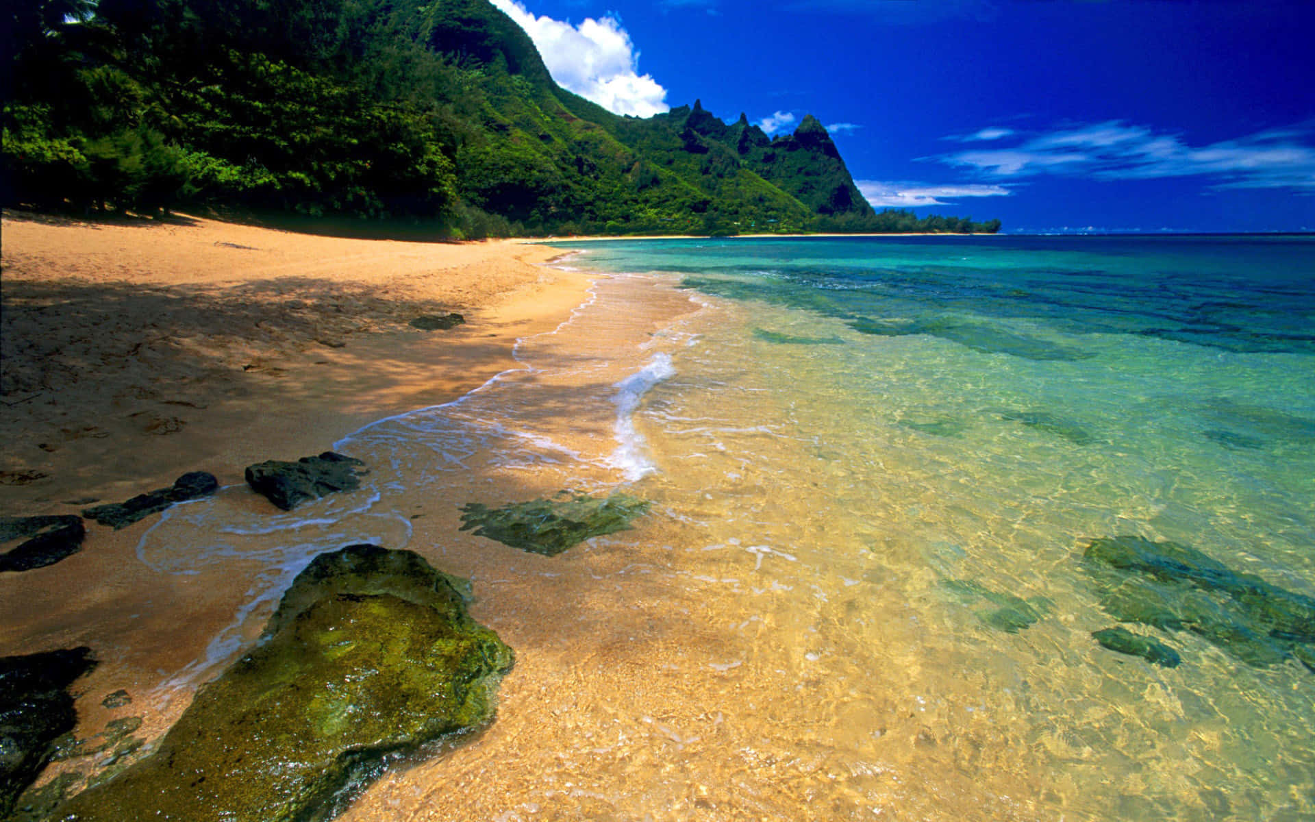 Beach Photography 桌布 壁紙 — 熱帶海灘，金色沙灘、碧綠海水和茂密青山，在明亮的藍天下。