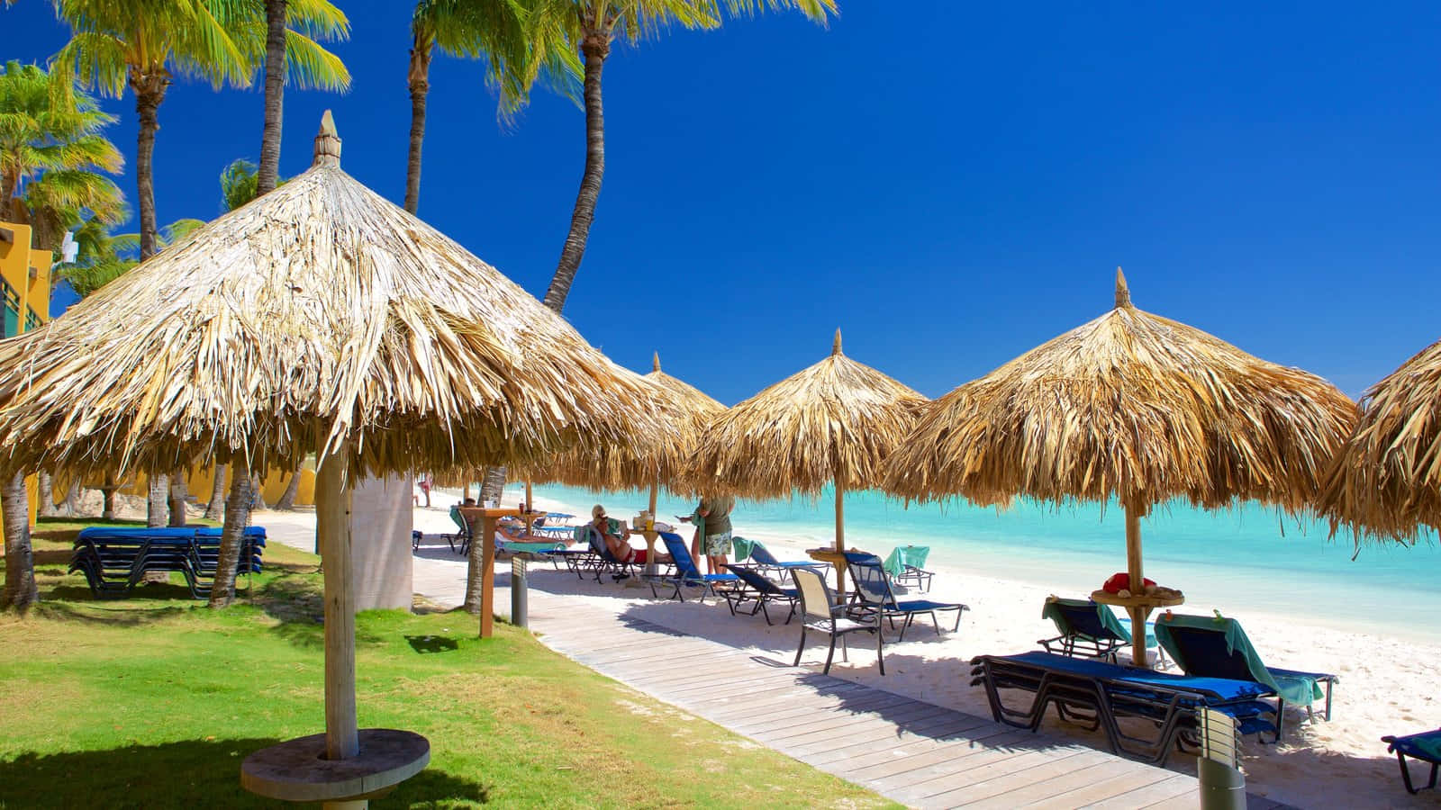 Aruba 桌布 壁紙 — 熱帶海灘場景，設有茅草遮陽傘、藍色躺椅和清澈藍天下的碧綠海水。