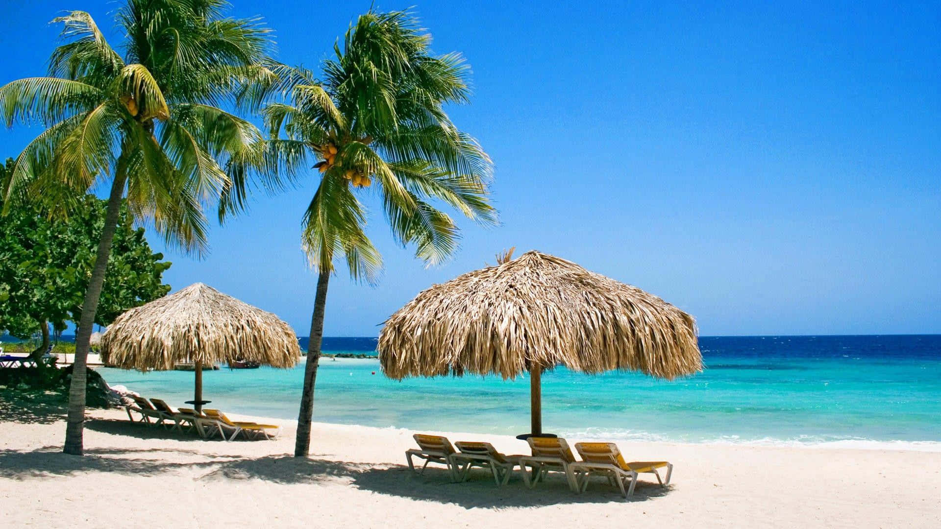 Aruba 桌布 壁紙 — 熱帶海灘天堂，棕櫚樹在茅草遮陽傘和躺椅上方搖曳，白沙旁是碧綠的海洋。
