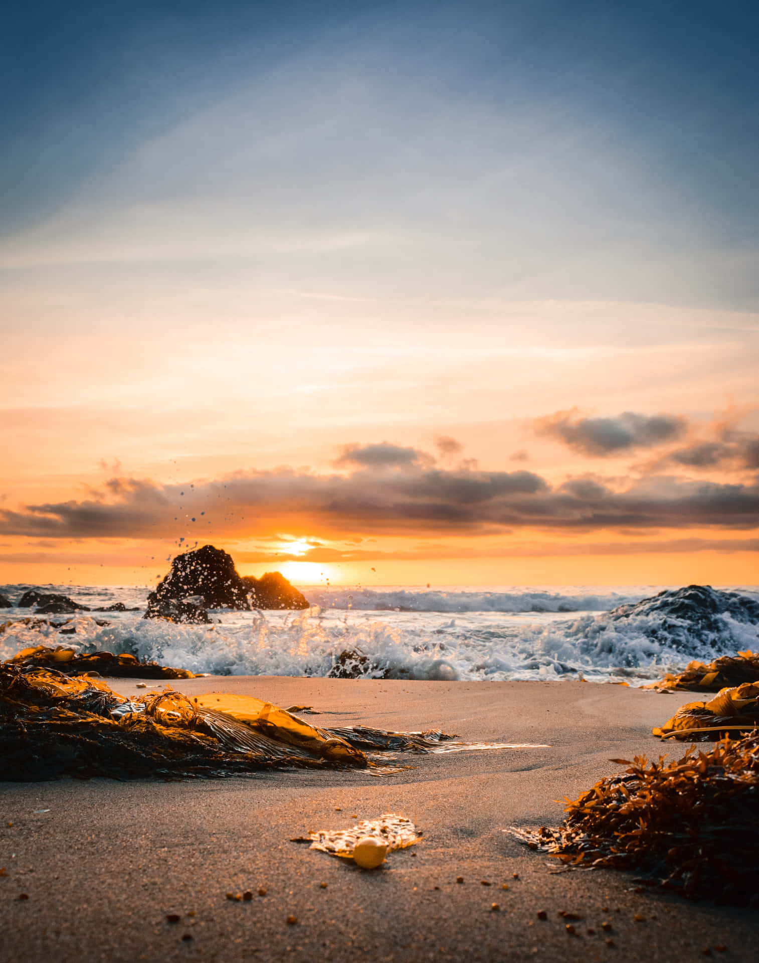 夕陽下的海洋，海浪拍打沙灘上的海藻