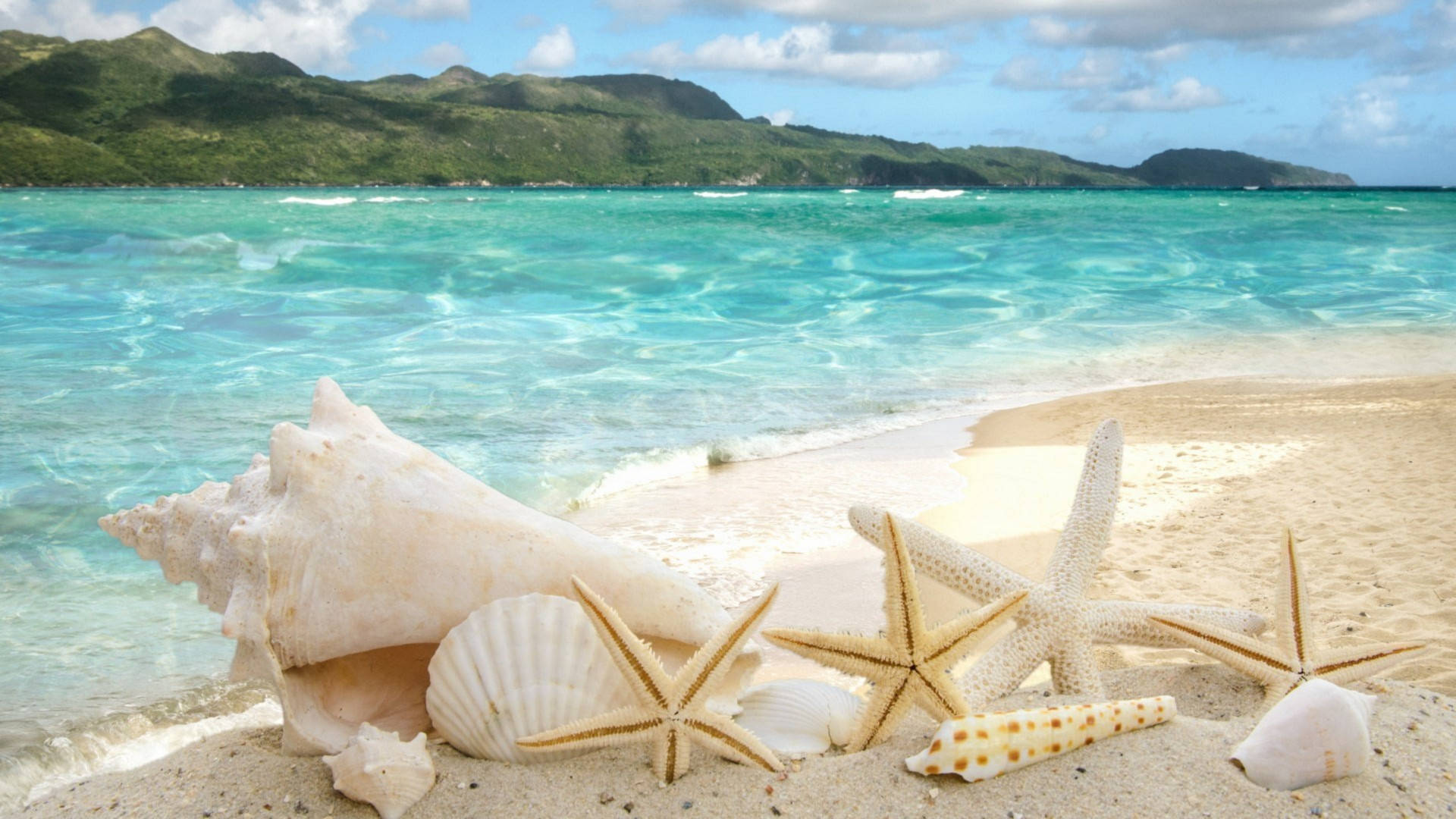 熱帶海灘貝殼 壁紙 — 寧靜的熱帶海灘場景，有碧綠的海水、溫柔的海浪，以及貝殼、海星和鳳螺擱在金色沙灘上。