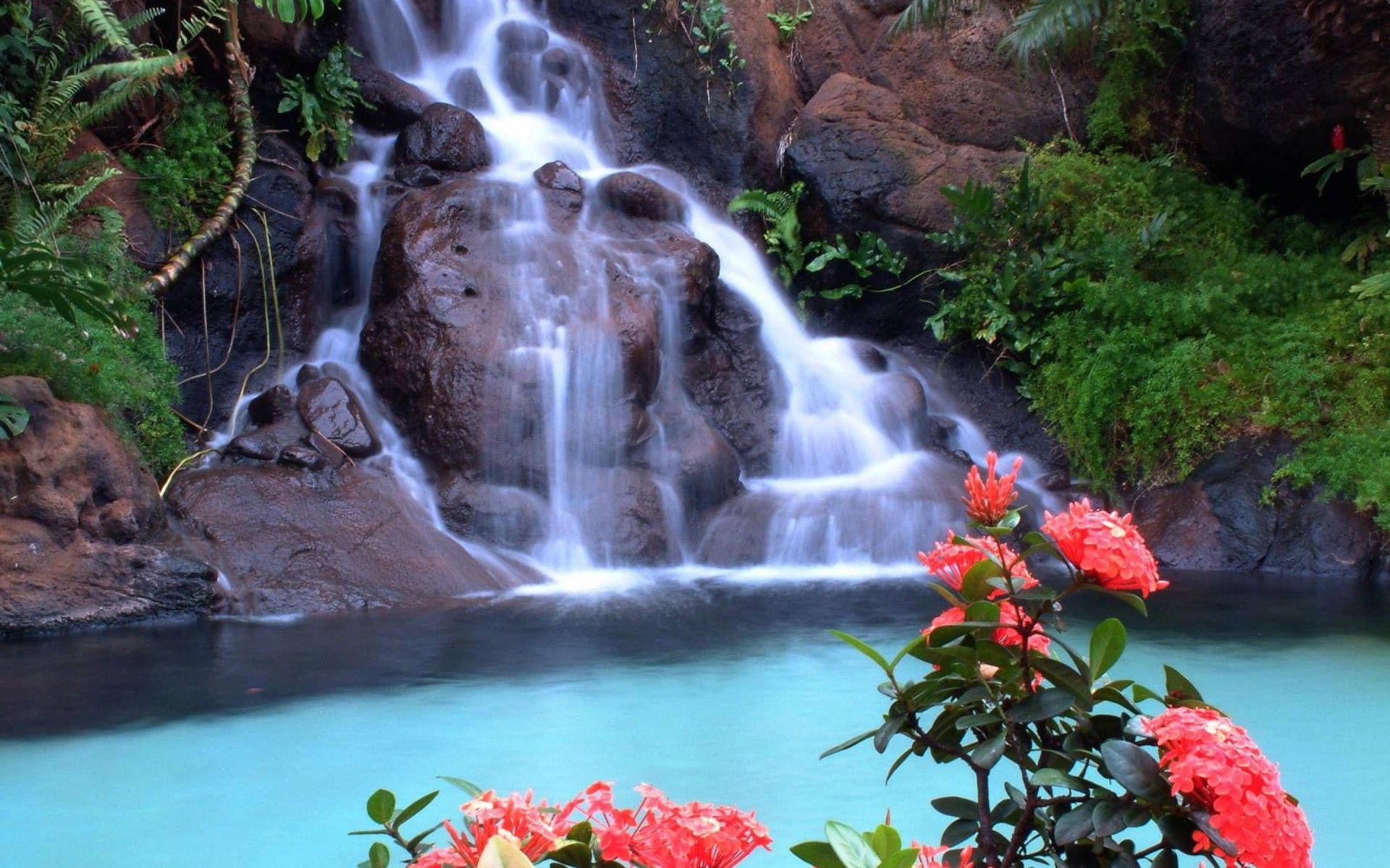 熱帶瀑布流入碧綠色水池，前景有紅色花朵