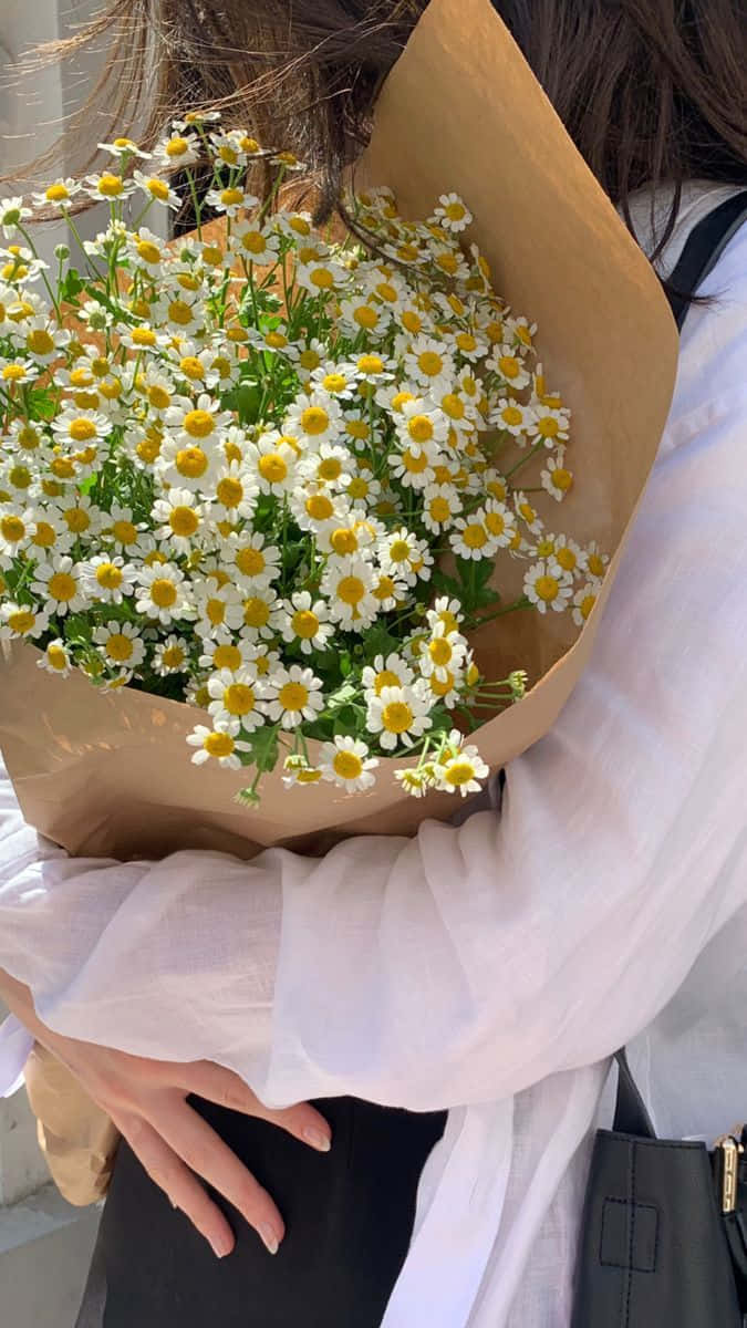 熱帶花束圖 壁紙 — 一個穿著白恤衫的人懷抱著一大束用牛皮紙包裹的新鮮雛菊。