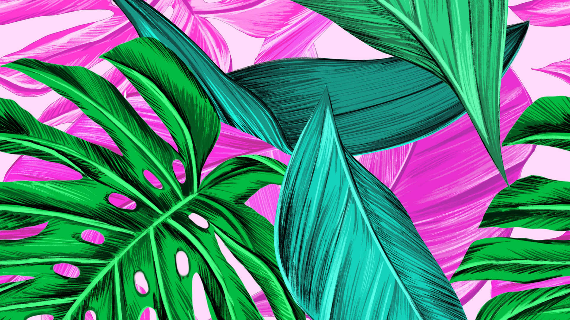 綠色和藍綠色的熱帶葉片在粉紅色背景上，帶有素描風格的線條。