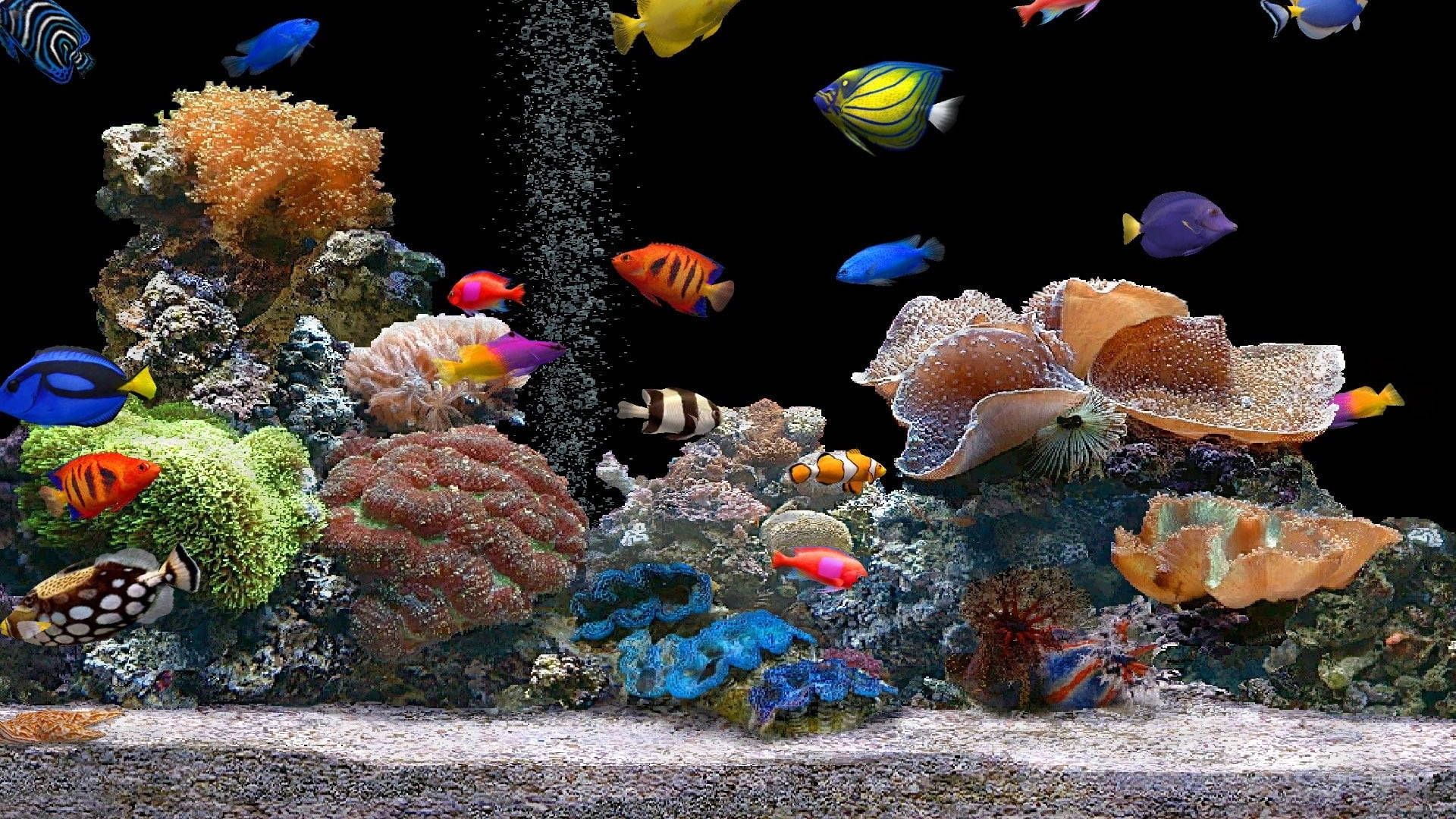 黑暗水族箱中色彩繽紛的熱帶魚和珊瑚，氣泡不斷上升。