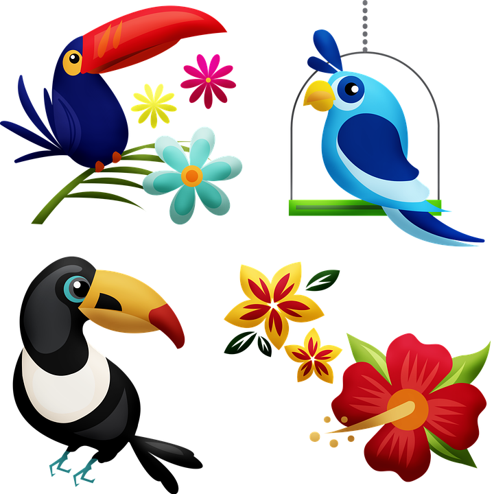 熱帶鳥與花插畫 壁紙 — 色彩繽紛的卡通犀鳥和熱帶花卉在純黑色背景上以俏皮的剪貼畫風格漂浮。