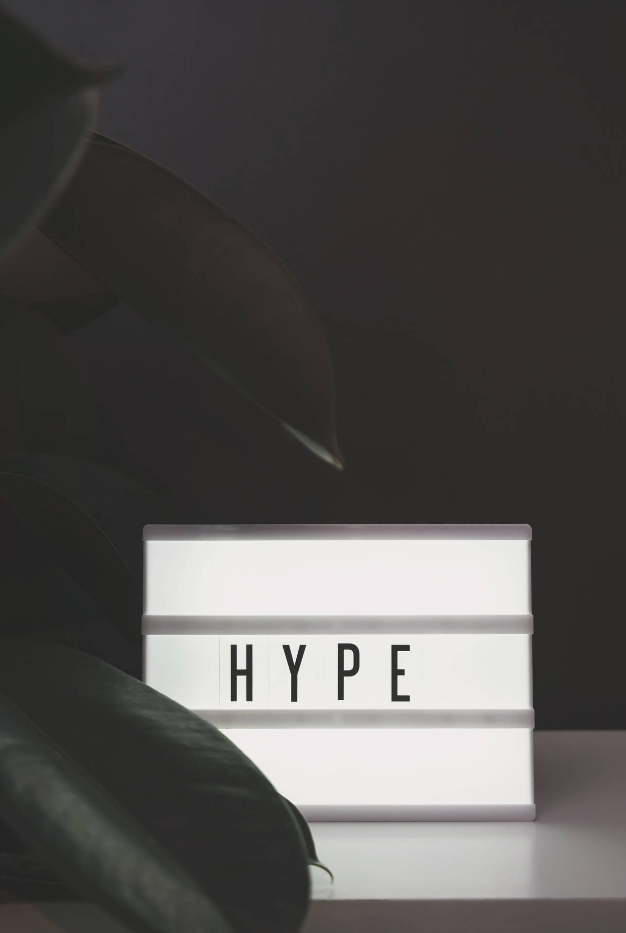 一個發光的標誌，上面寫著「HYPE」，周圍環繞著大片深色葉子，放在架子上。
