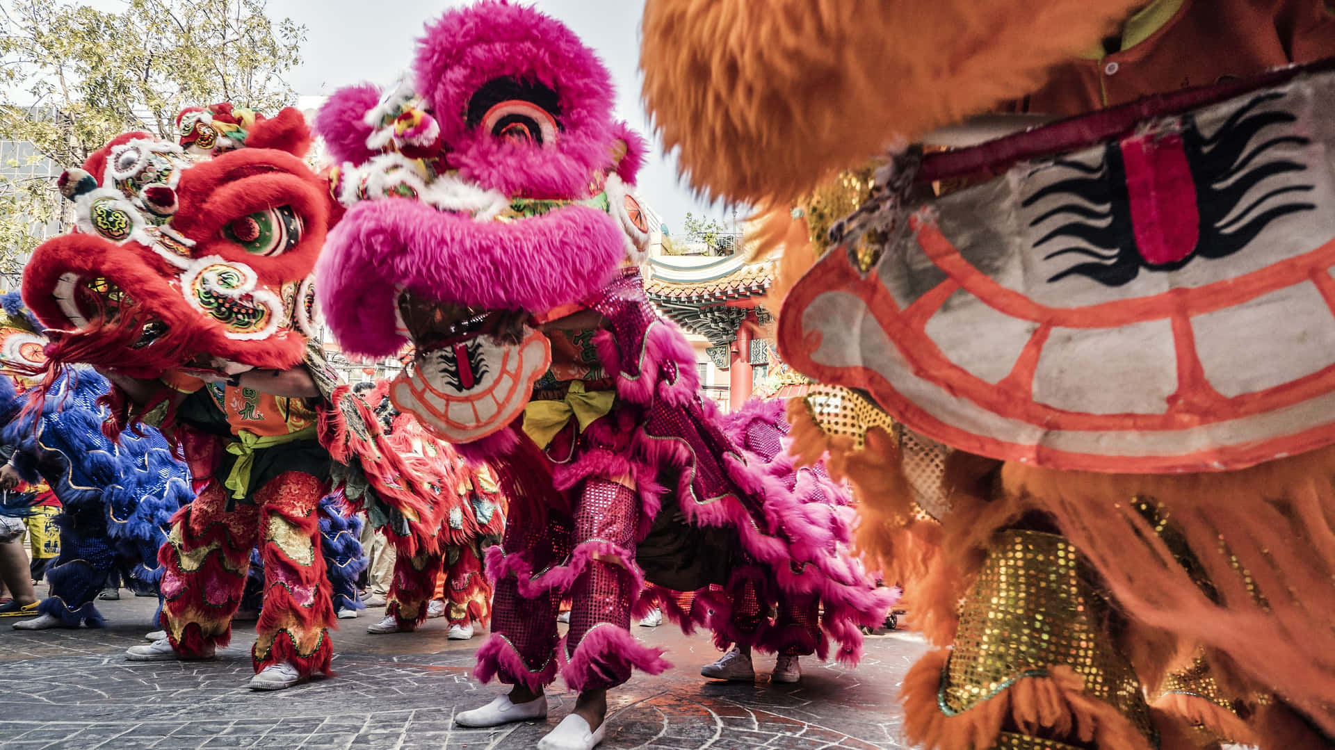 熱鬧的中國新年慶祝活動 壁紙 — 充滿活力的傳統舞獅表演者身穿紅色、粉紅色和橙色服裝，在節日街頭巡遊中充滿活力地移動。