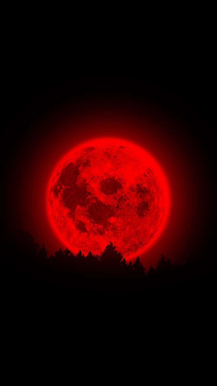 血紅色的月亮在夜晚從黑暗的森林剪影後升起。