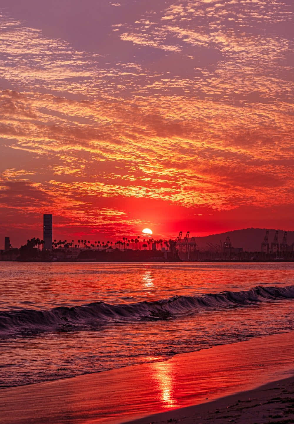 Sunset Photography 桌布 壁紙 — 熾熱的夕陽將天空和海洋染成鮮豔的紅色和橙色，海浪在城市天際線附近的海灘上拍打。
