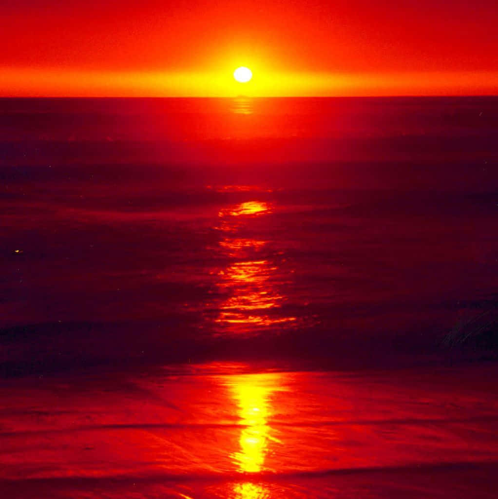Red Sunset 桌布 壁紙 — 熾熱的夕陽將海洋染成鮮豔的紅色和橙色，太陽沉入地平線下。