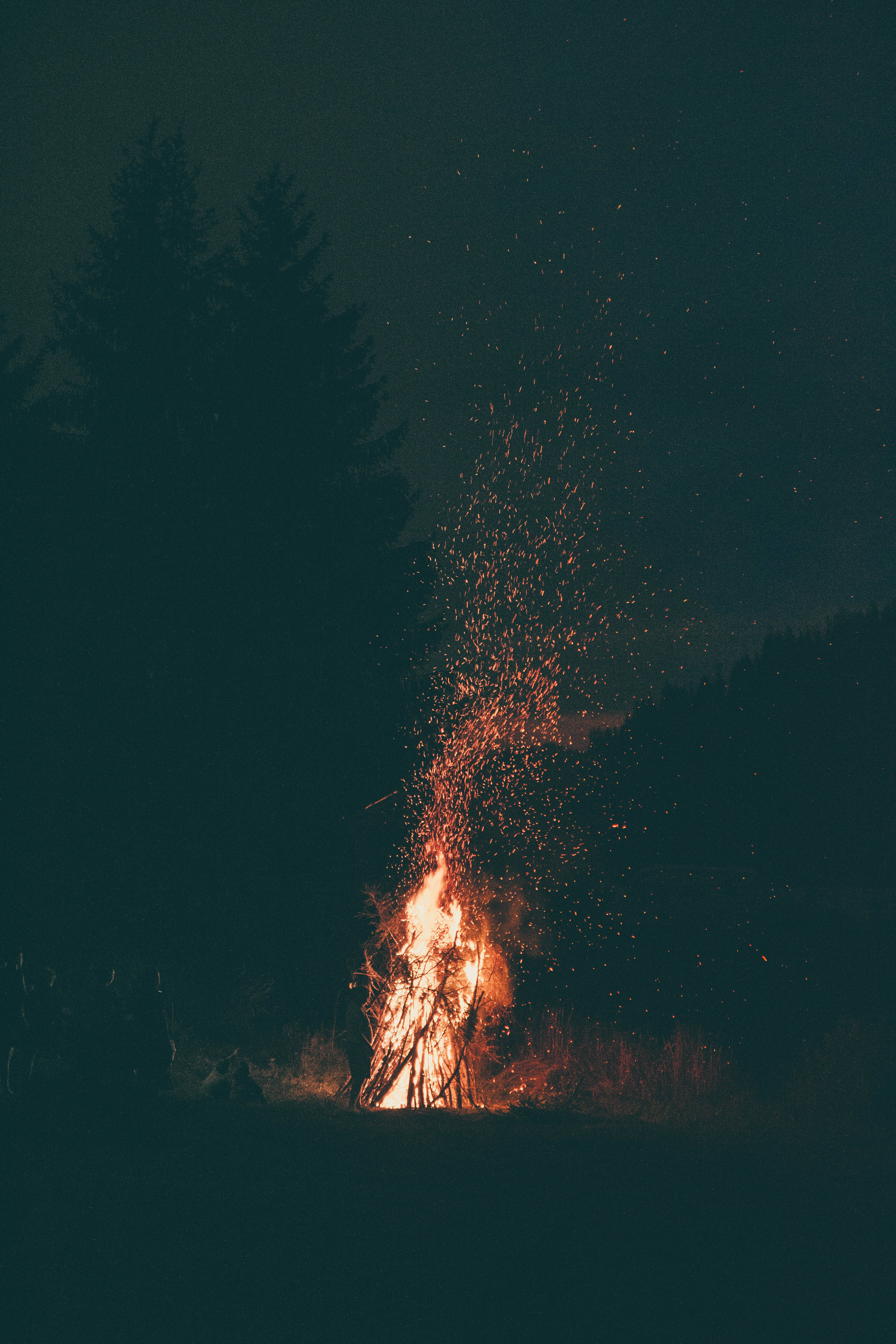 燃燒的木棍 壁紙 — 夜晚咆哮的營火在黑暗的森林背景下向上飛舞出明亮的橙色火花。