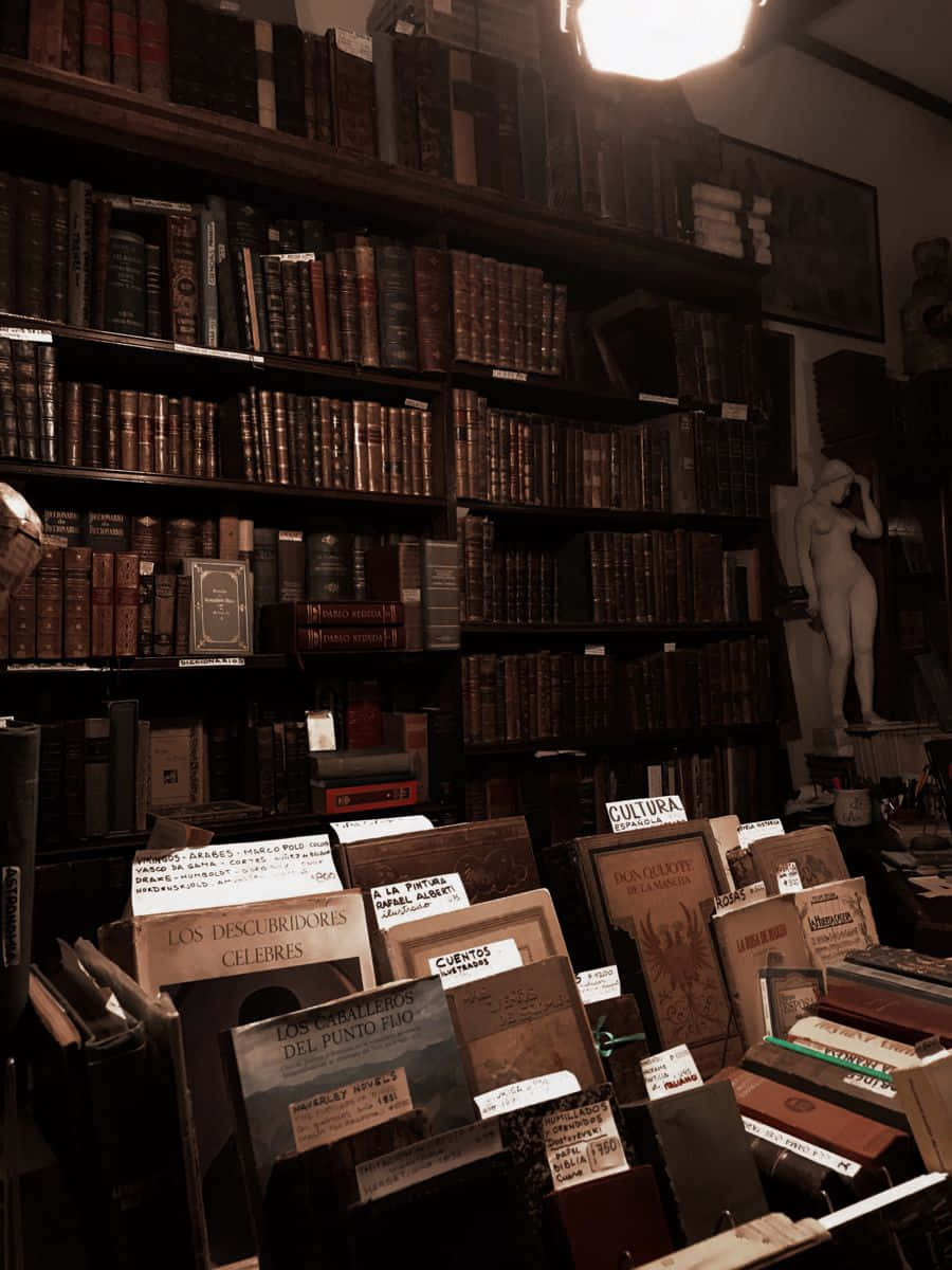 Dark Academia Aesthetic 桌布 壁紙 — 燈光溫暖的復古書店，高聳的書架上擺滿了舊皮革裝訂的書籍，角落裡有一座大理石雕像。