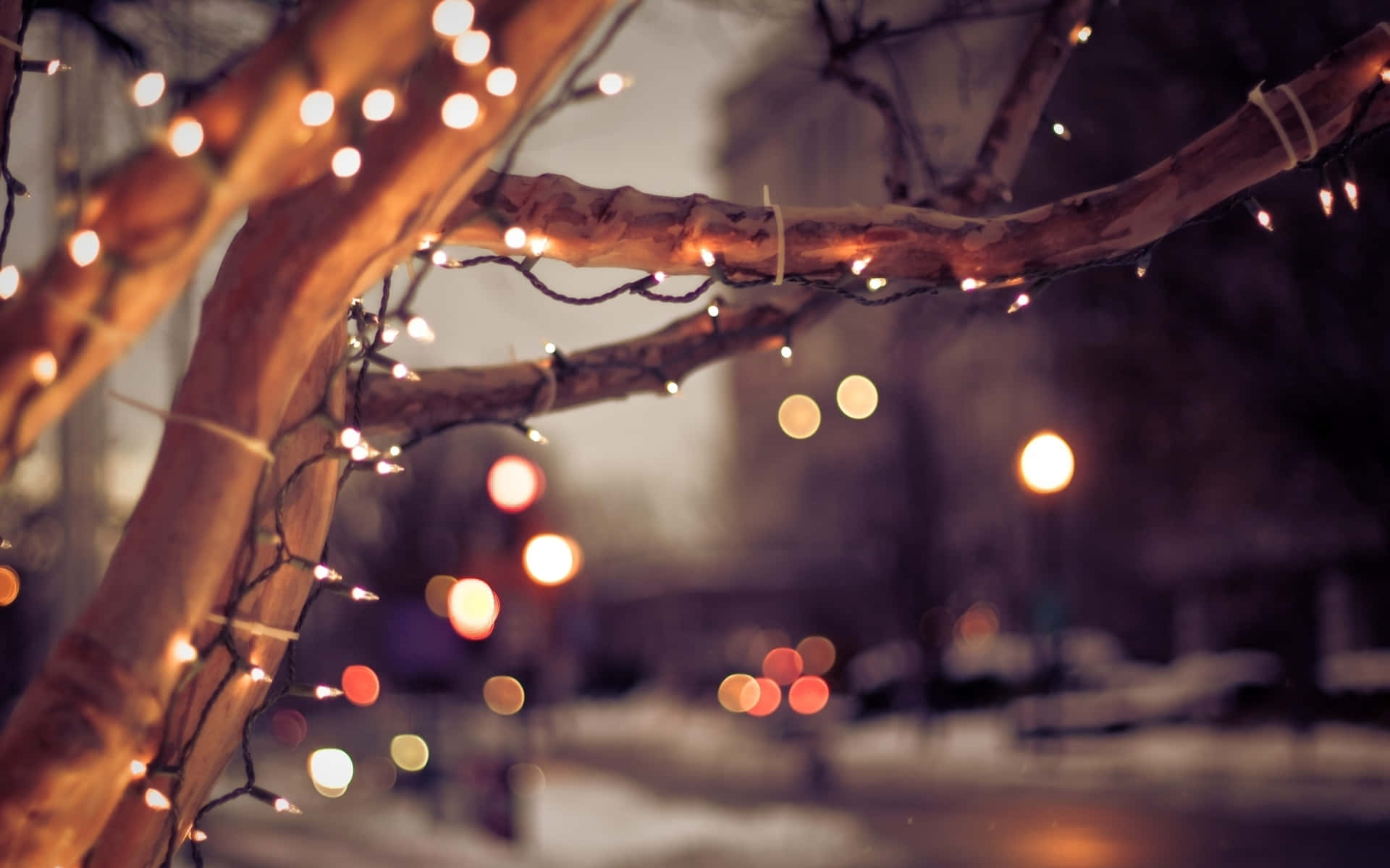 光禿的樹枝上點綴著閃爍的燈光，在雪夜城市場景中。