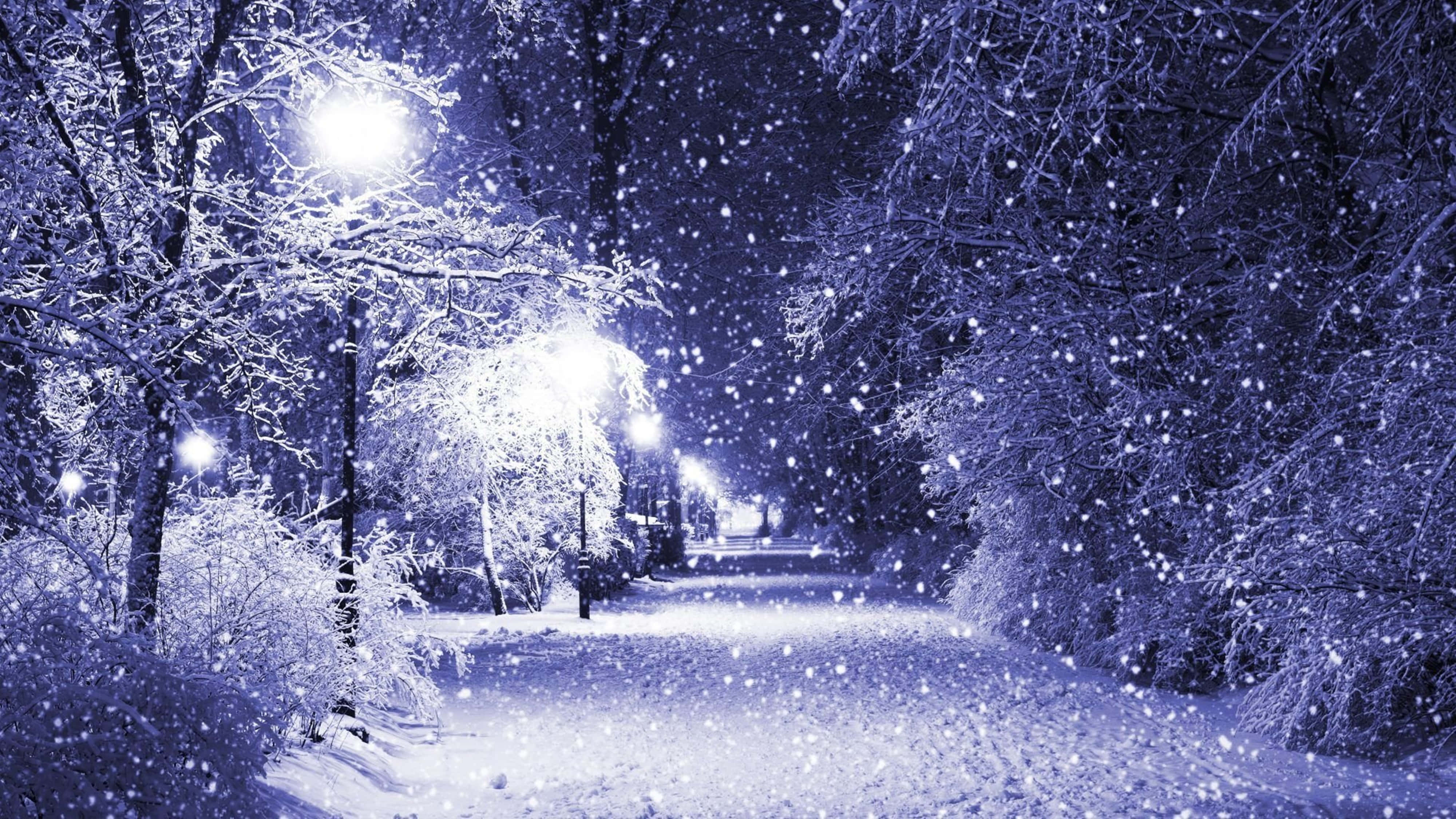 燈光雪覆小徑 4K 壁紙 — 雪花在月光下的冬季公園中飄蕩，發光的街燈照亮了覆蓋霜凍的樹木和一條安靜的小路。