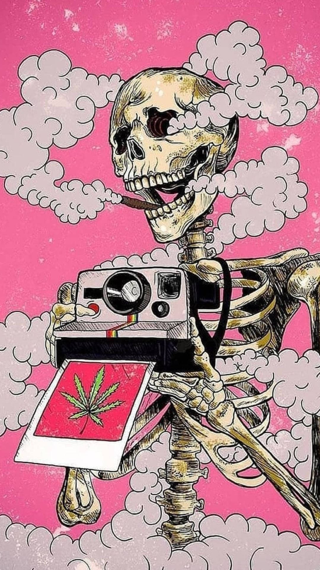 一個骷髏頭揸住一部有麻葉相片嘅相機，喺粉紅色雲狀背景吸煙斗。