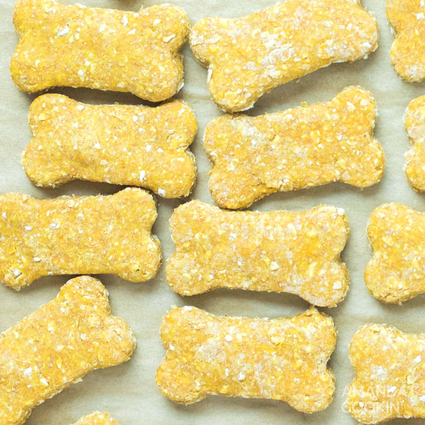 新鮮出爐的金色骨頭形狗零食放在烘焙紙上。