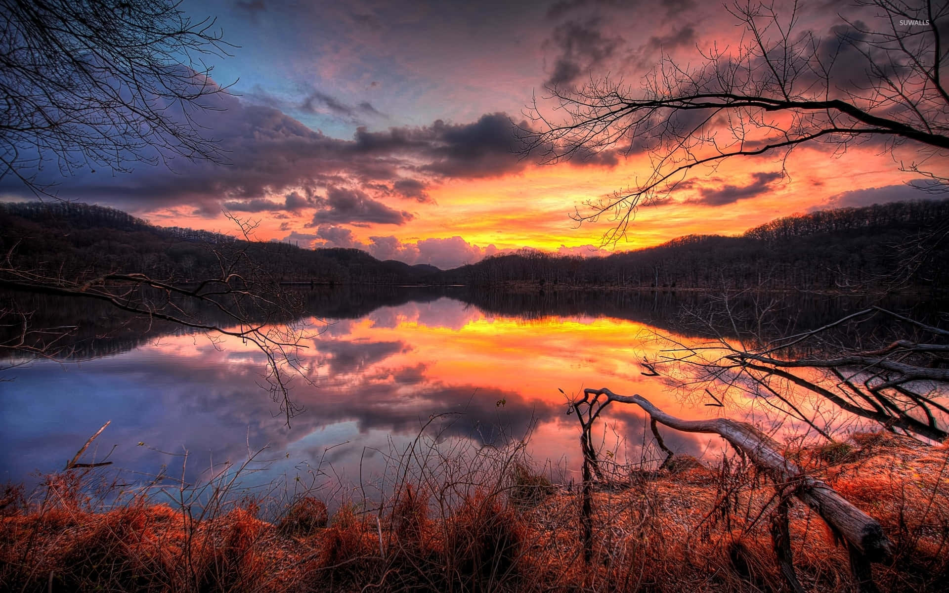 Fall Sunset 桌布 壁紙 — 燦爛的夕陽將天空和水面染成火熱的橙色和紫色，光禿的樹枝框住了一個被森林覆蓋的山丘環繞的寧靜湖泊。