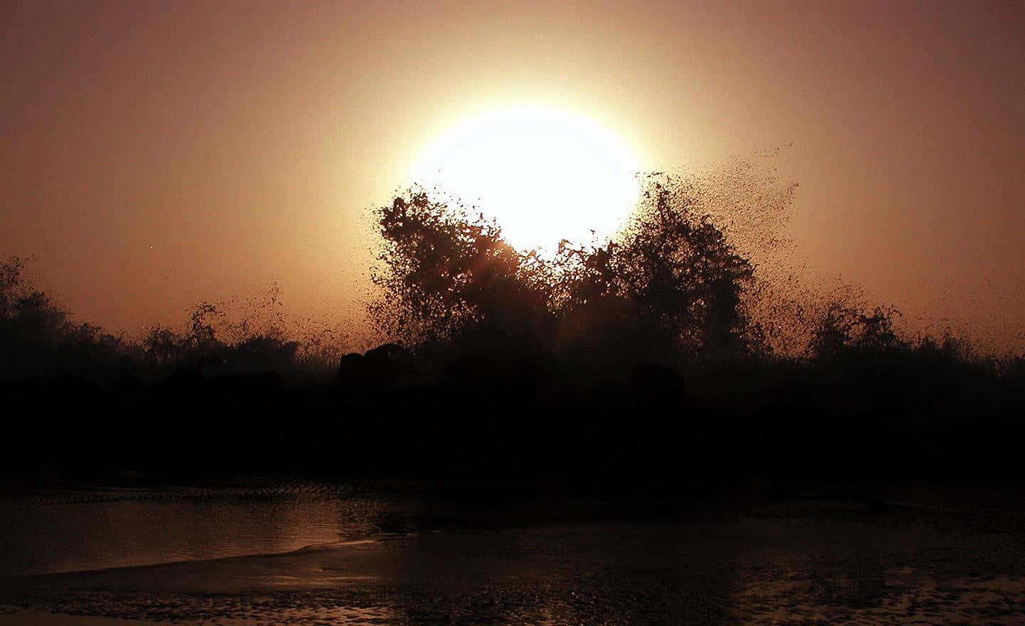 Israel 桌布 壁紙 — 燦爛的夕陽落在剪影般的樹木後方，前景中水花四濺，場面壯觀。