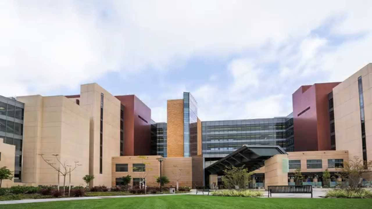 現代大學校園建築，米色和赤陶色牆壁，玻璃窗。