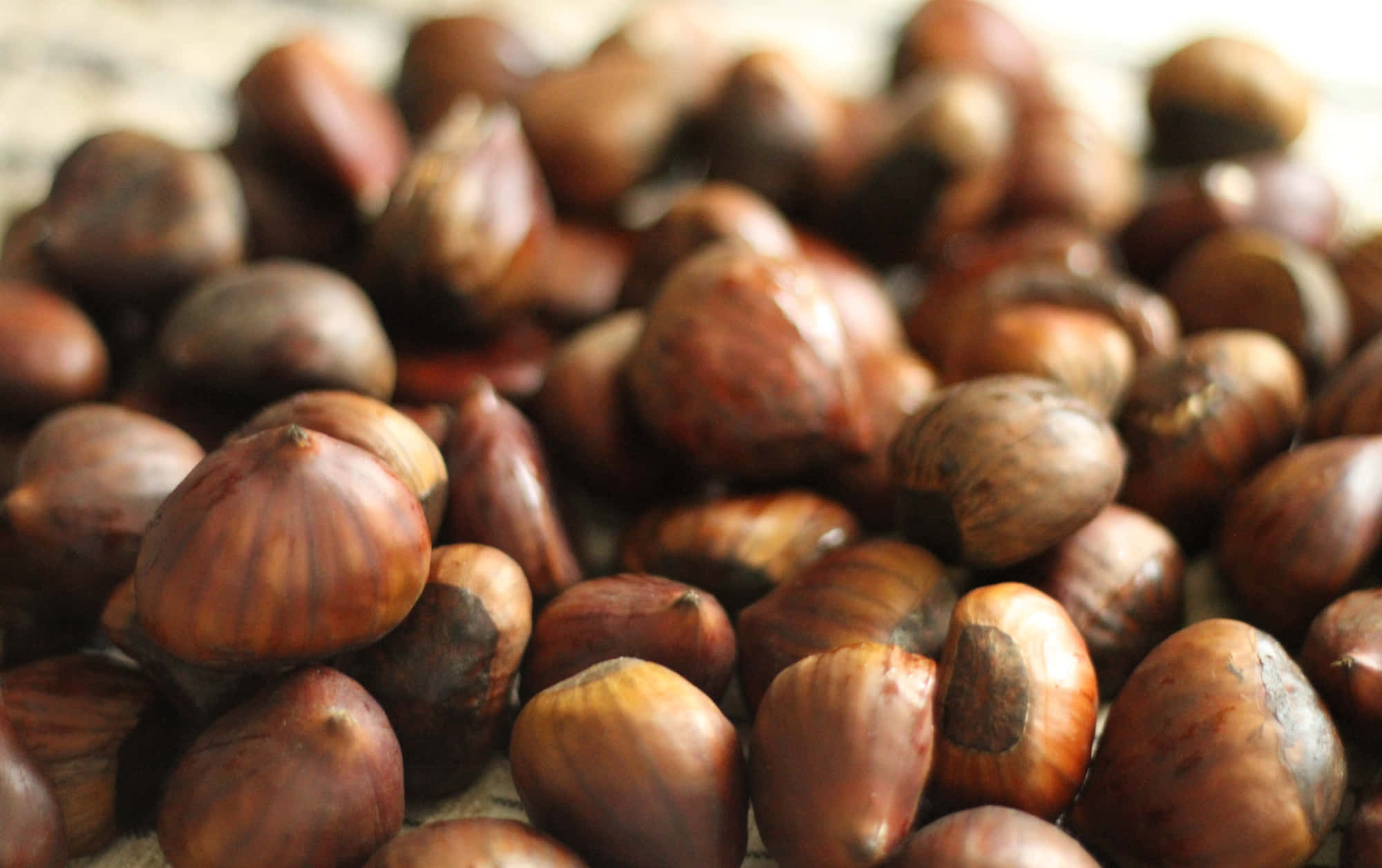 Chestnut 桌布 壁紙 — 特寫光澤棕色榛子堆疊在一起，背景柔和散景。