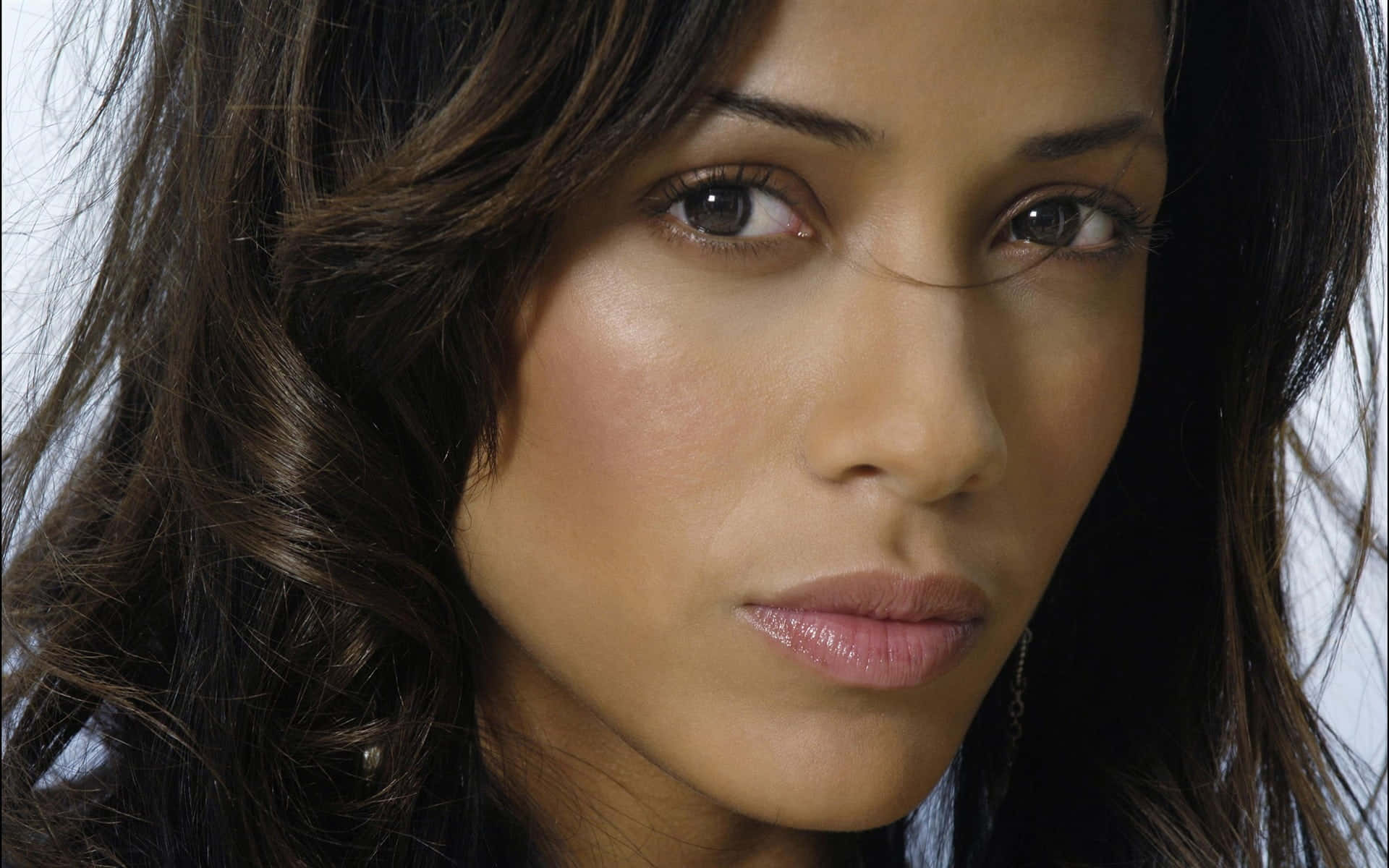 Dania Ramirez 桌布 壁紙 — 特寫肖像照，一位擁有深色波浪髮和強烈眼神的女性，背景為柔和的白色。
