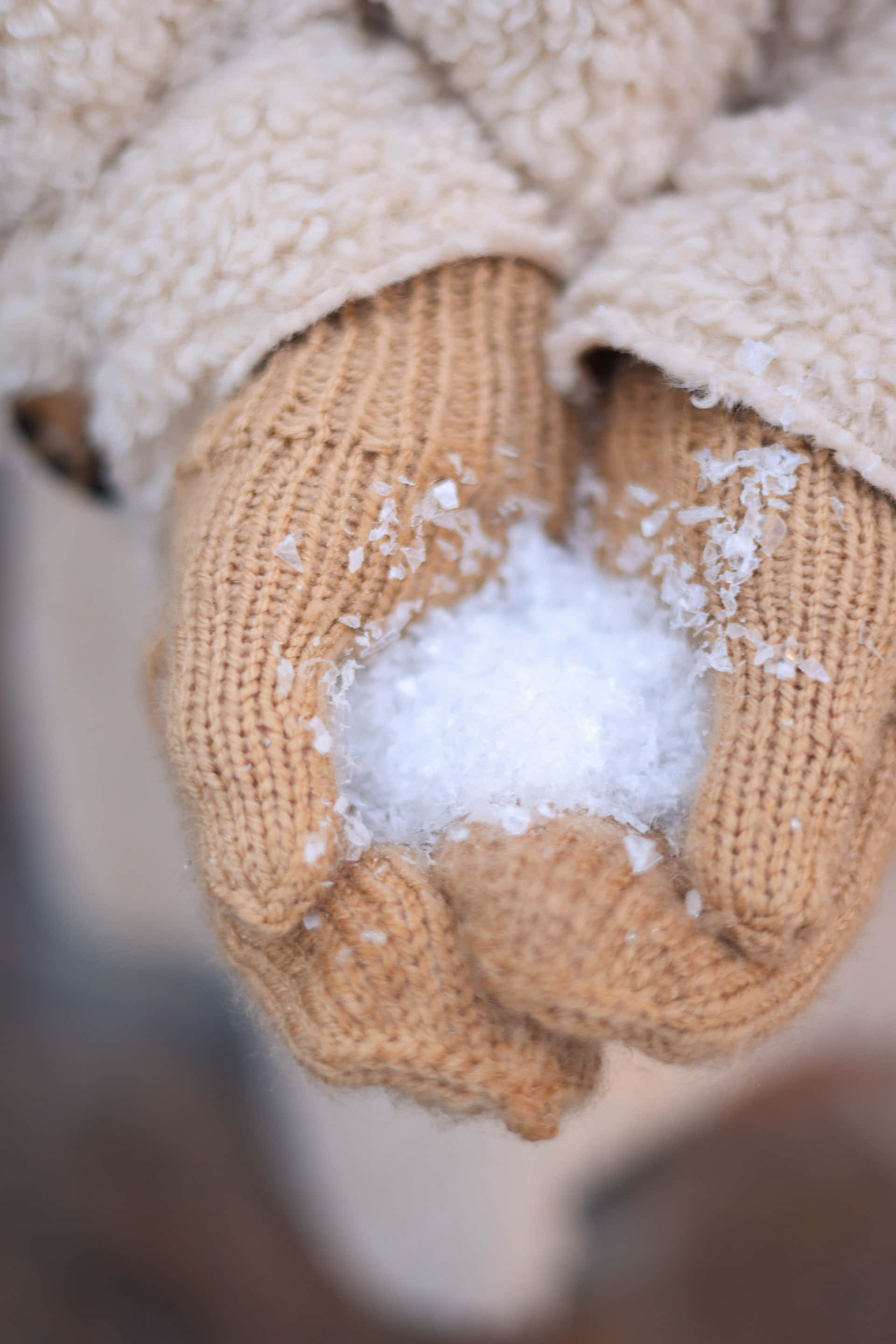 Mittens 桌布 壁紙 — 特寫鏡頭，一雙戴著舒適針織手套的手，在模糊的冬日背景下輕輕捧著一個柔軟的雪球。