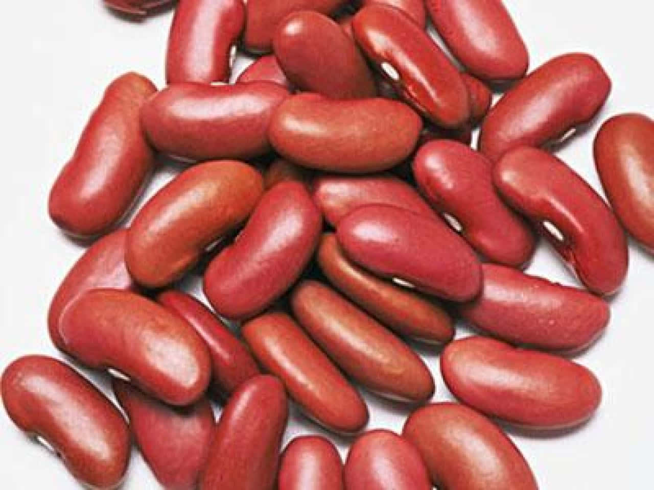 beans 桌布 壁紙 — 特寫鏡頭，光澤的紅腰豆散落在純白色背景上。