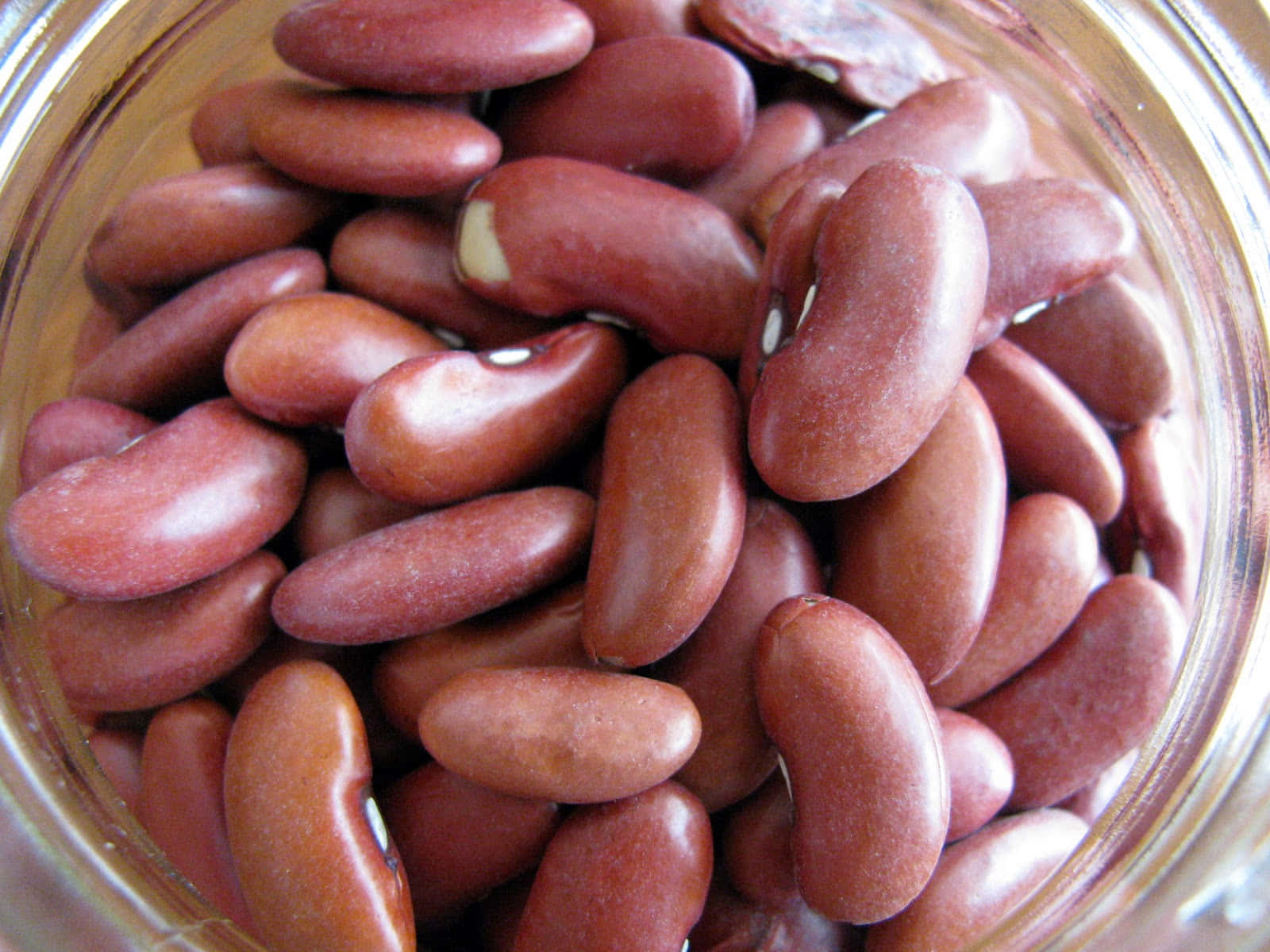 beans 桌布 壁紙 — 特寫鏡頭：光澤的紅腰豆裝滿透明玻璃罐，自然光凸顯其光滑彎曲的表面。