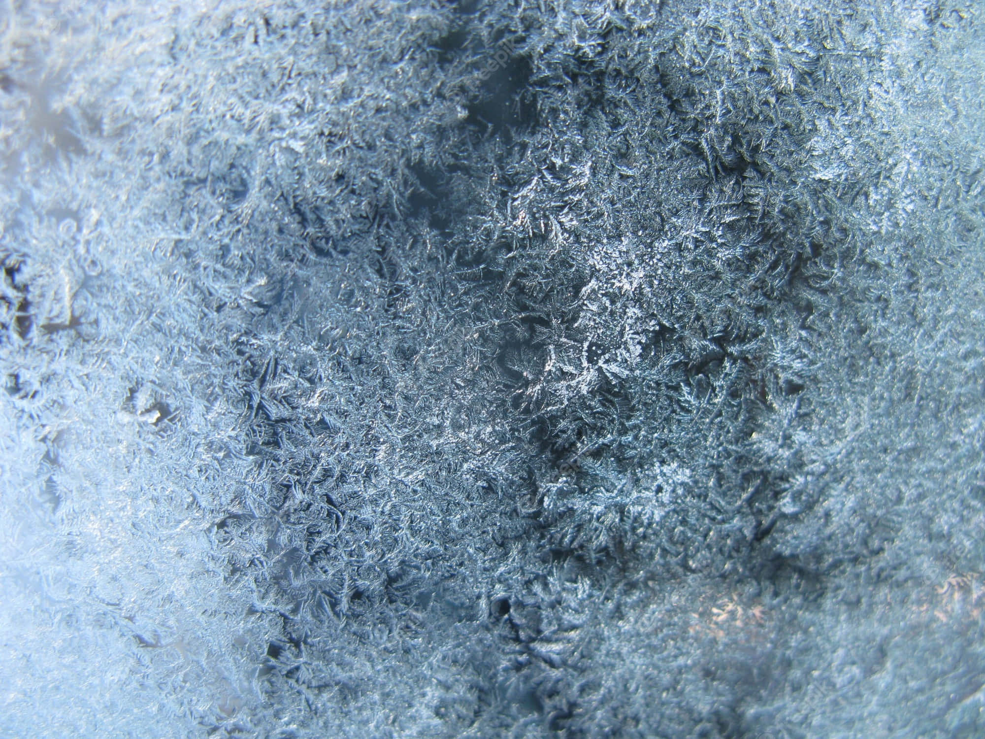 Frost 桌布 壁紙 — 特寫鏡頭：在柔和藍光下，寒冷表面形成精緻結晶結構的複雜霜花圖案。