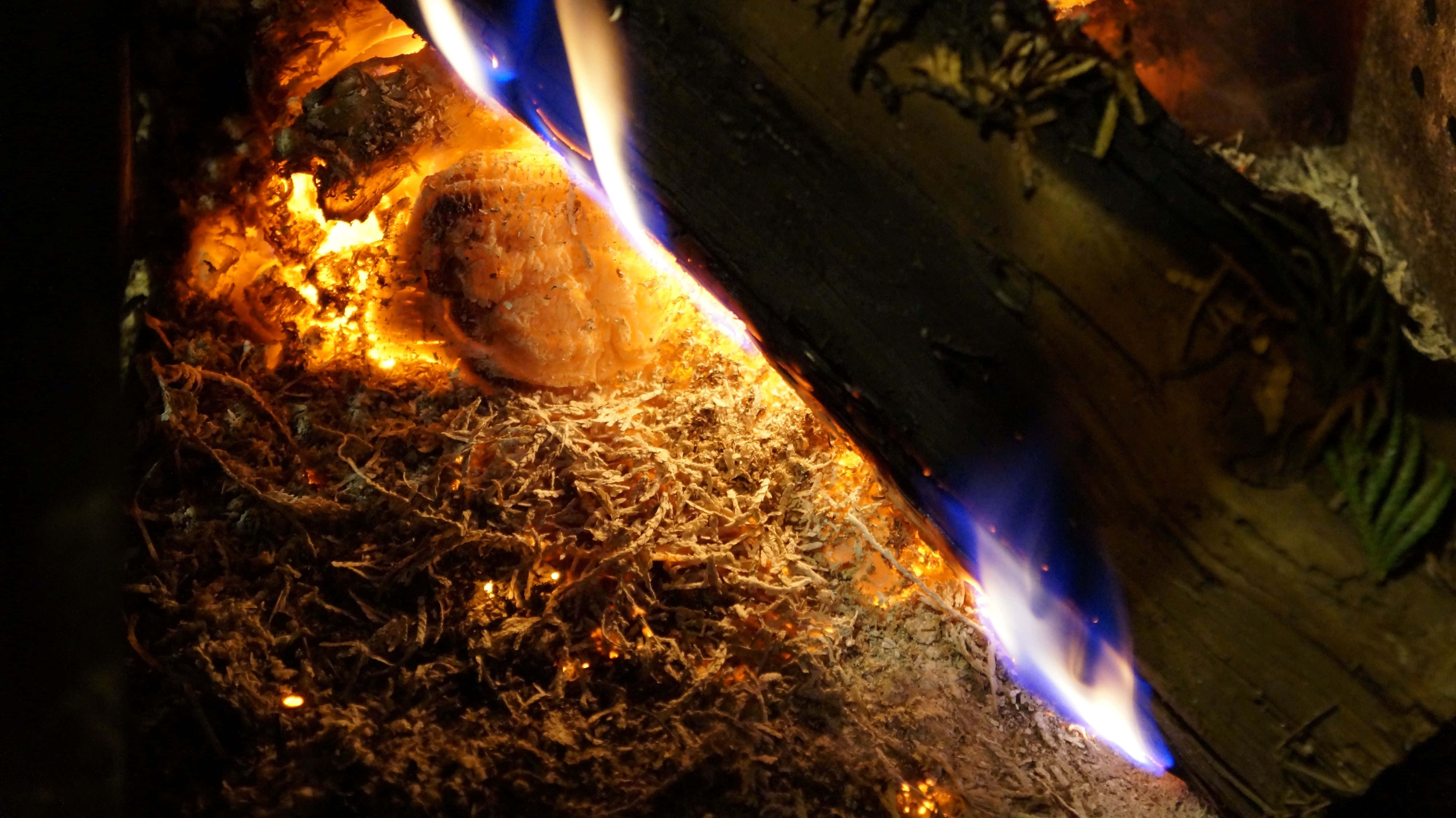 Campfire 桌布 壁紙 — 特寫鏡頭，捕捉到在噼啪作響的火焰中，鮮豔的橙色和藍色火舌舔舐著燒焦的木頭和發光的餘燼。