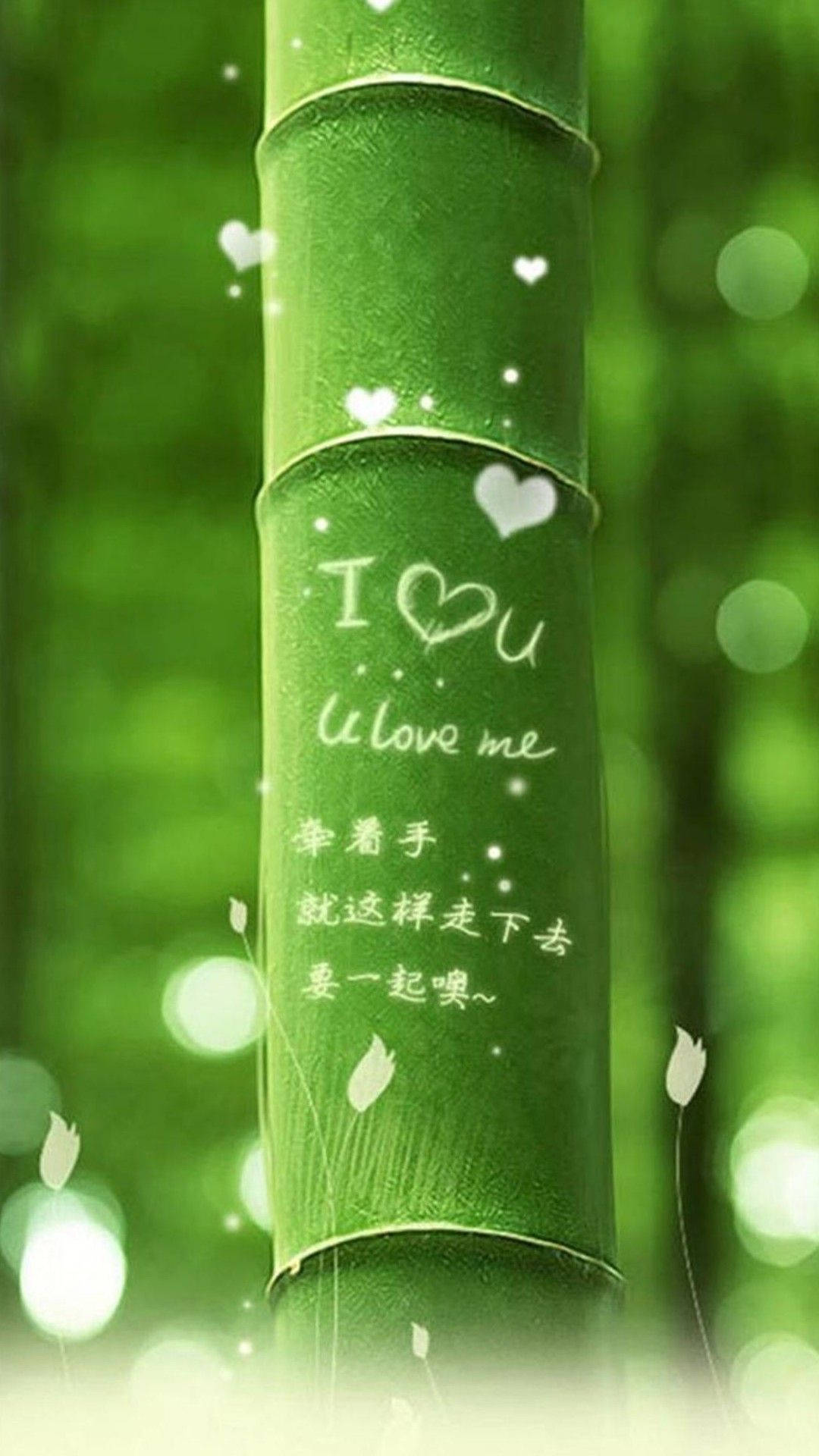 心形 桌布 壁紙 — 特寫鏡頭：綠色竹莖上，手寫的愛情訊息和心形圖案在模糊的森林背景下柔和發光。