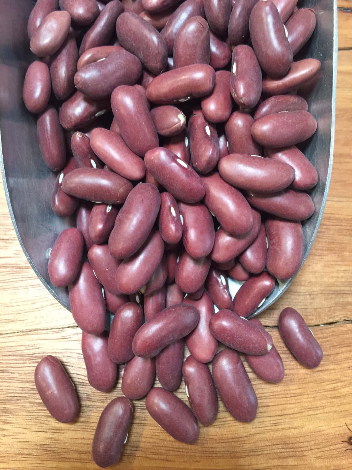 beans 桌布 壁紙 — 特寫鏡頭，閃亮的紅腰豆從金屬勺中灑落在溫暖的木質表面上。